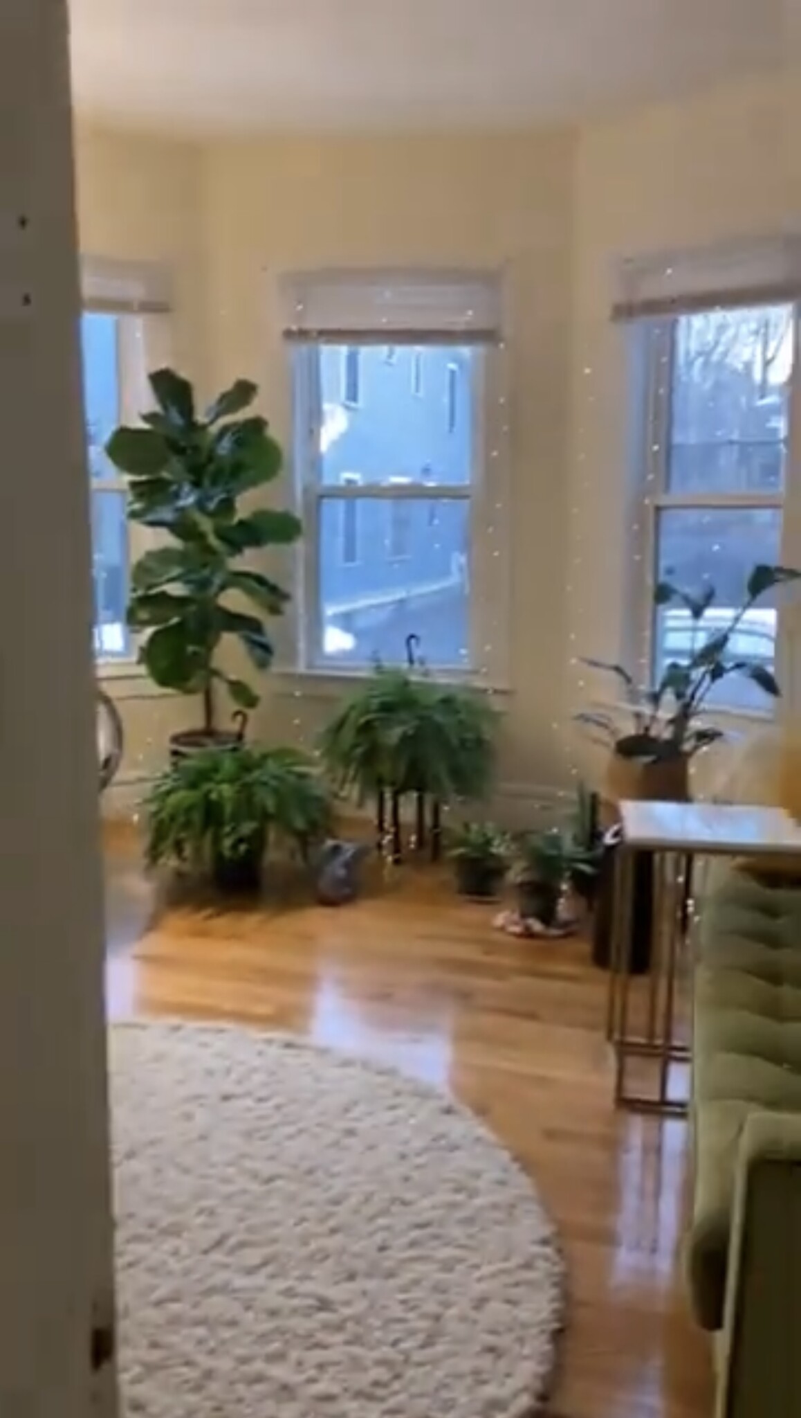 4 Watson St, Cambridgeport