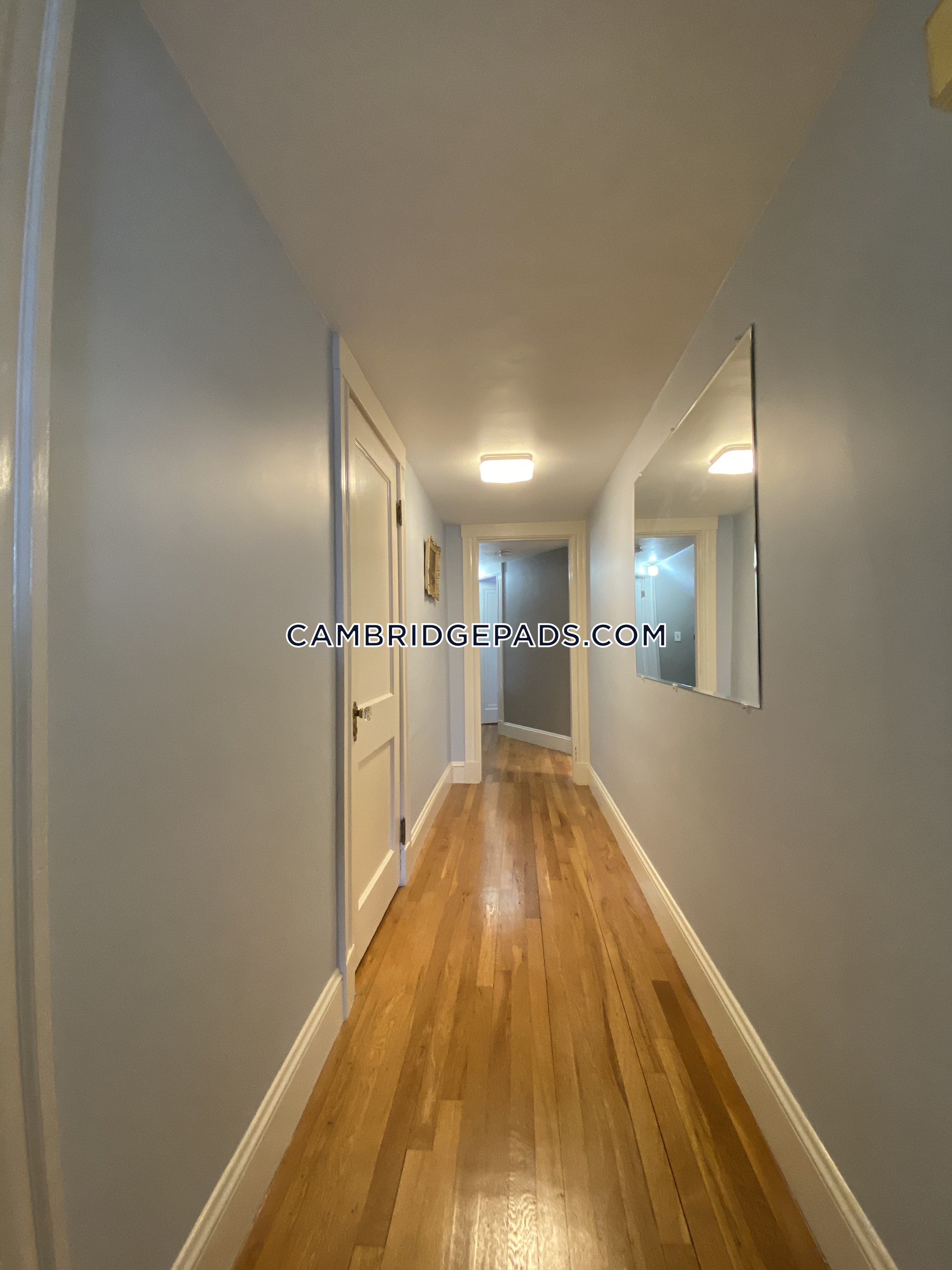 1 bed, 1 bath apartment for rent at 18 Kimball St Unit 3, North Cambridge — photo 8 of 24