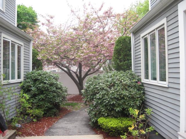3 bed, 2.5 bath apartment for rent at 5 Etna Unit 1, Brighton — photo 9 of 13