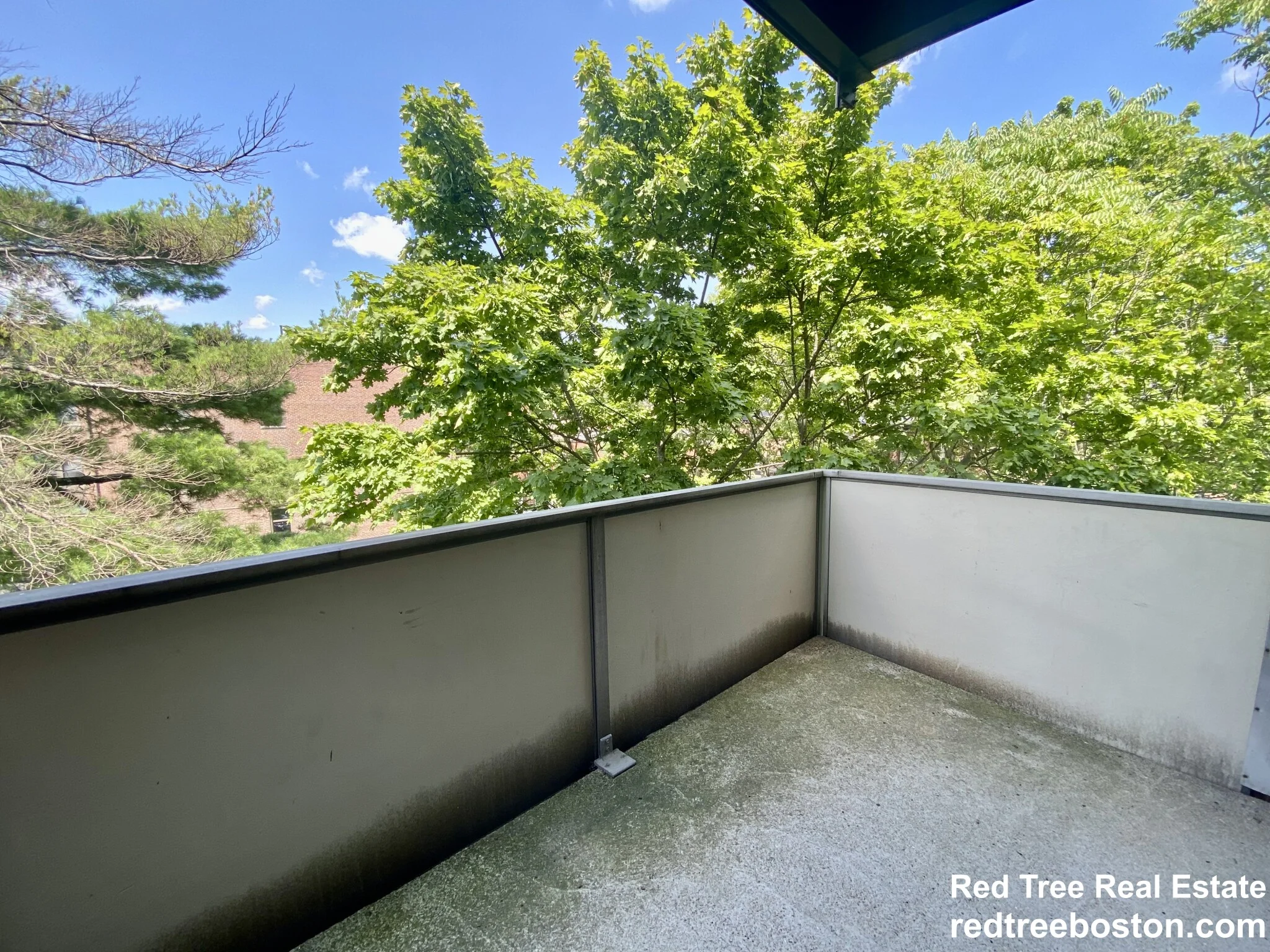 20 Stearns Rd, Coolidge Corner