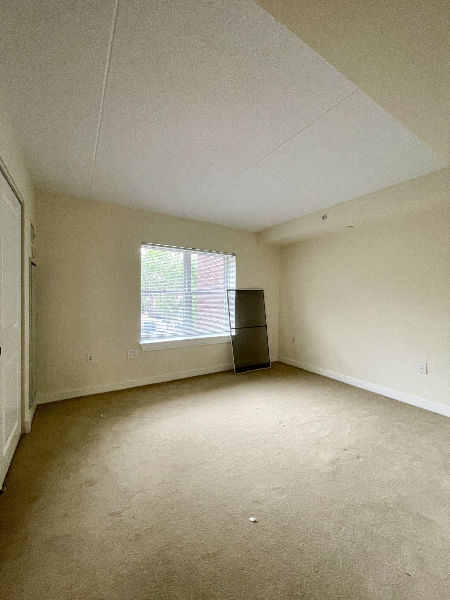 77 Marion St, Coolidge Corner