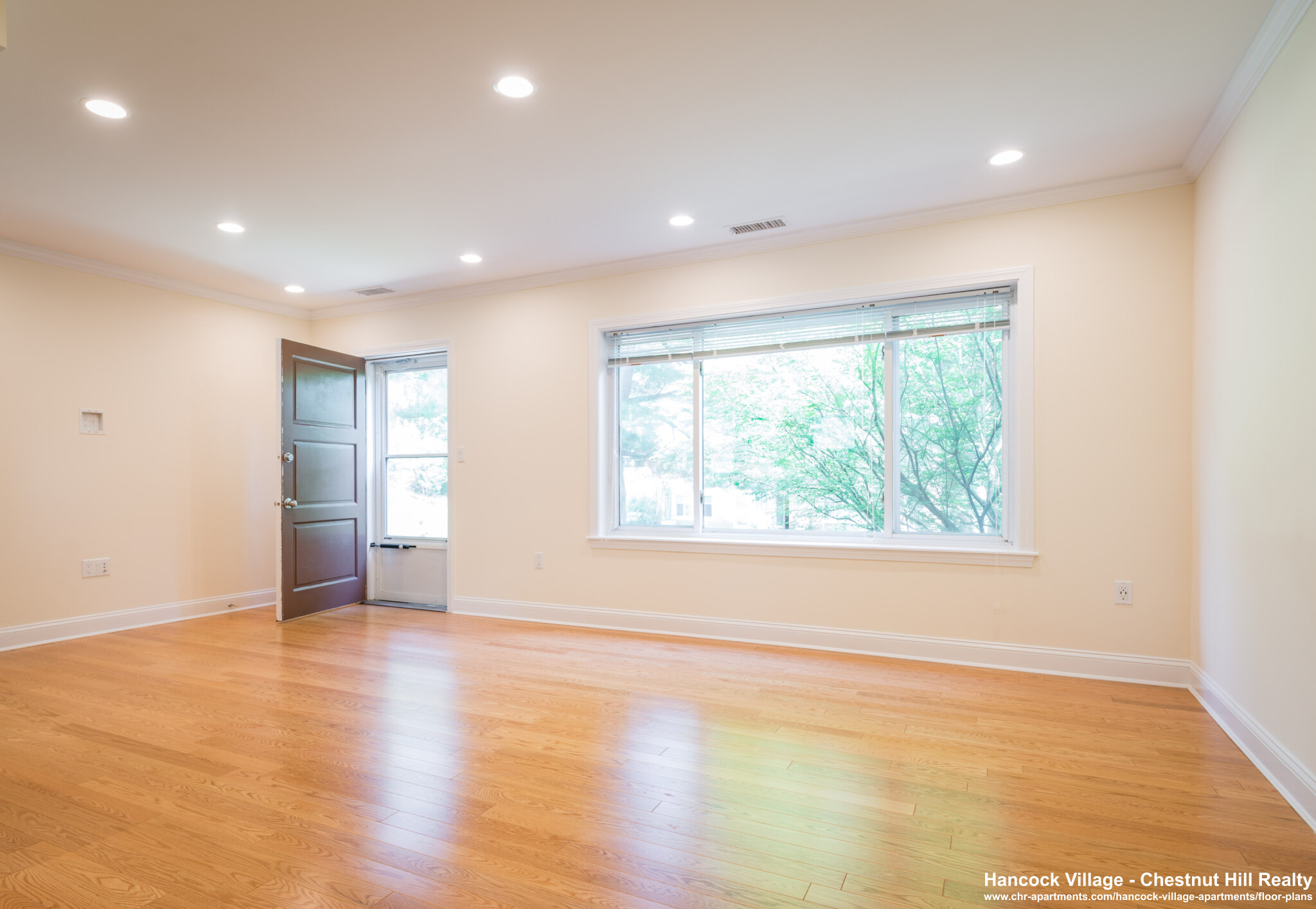 172 Thornton Rd, Chestnut Hill