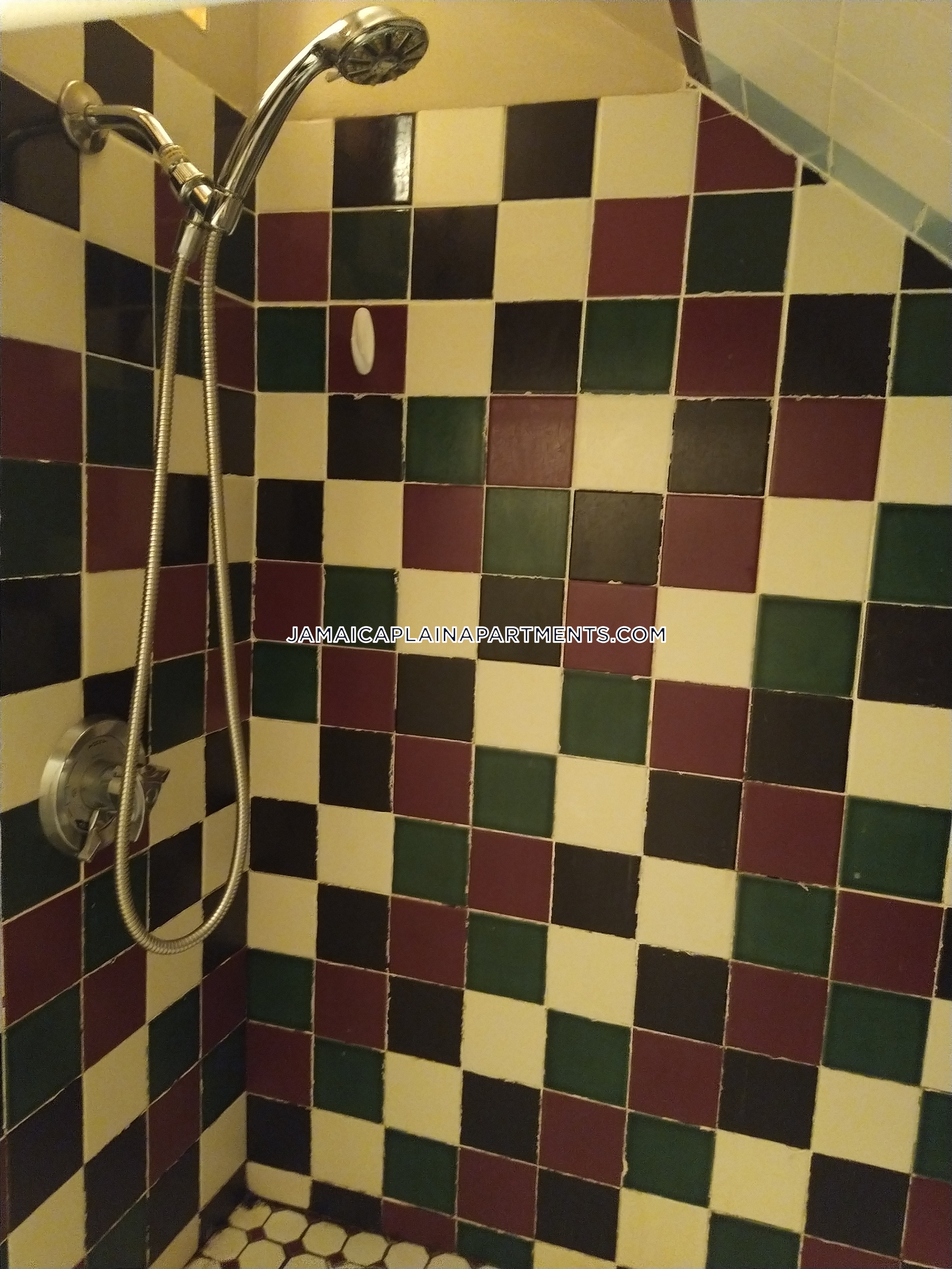5 bed, 2 bath apartment for rent at 47 Creighton St Unit 3, Jamaica Plain — photo 82 of 117