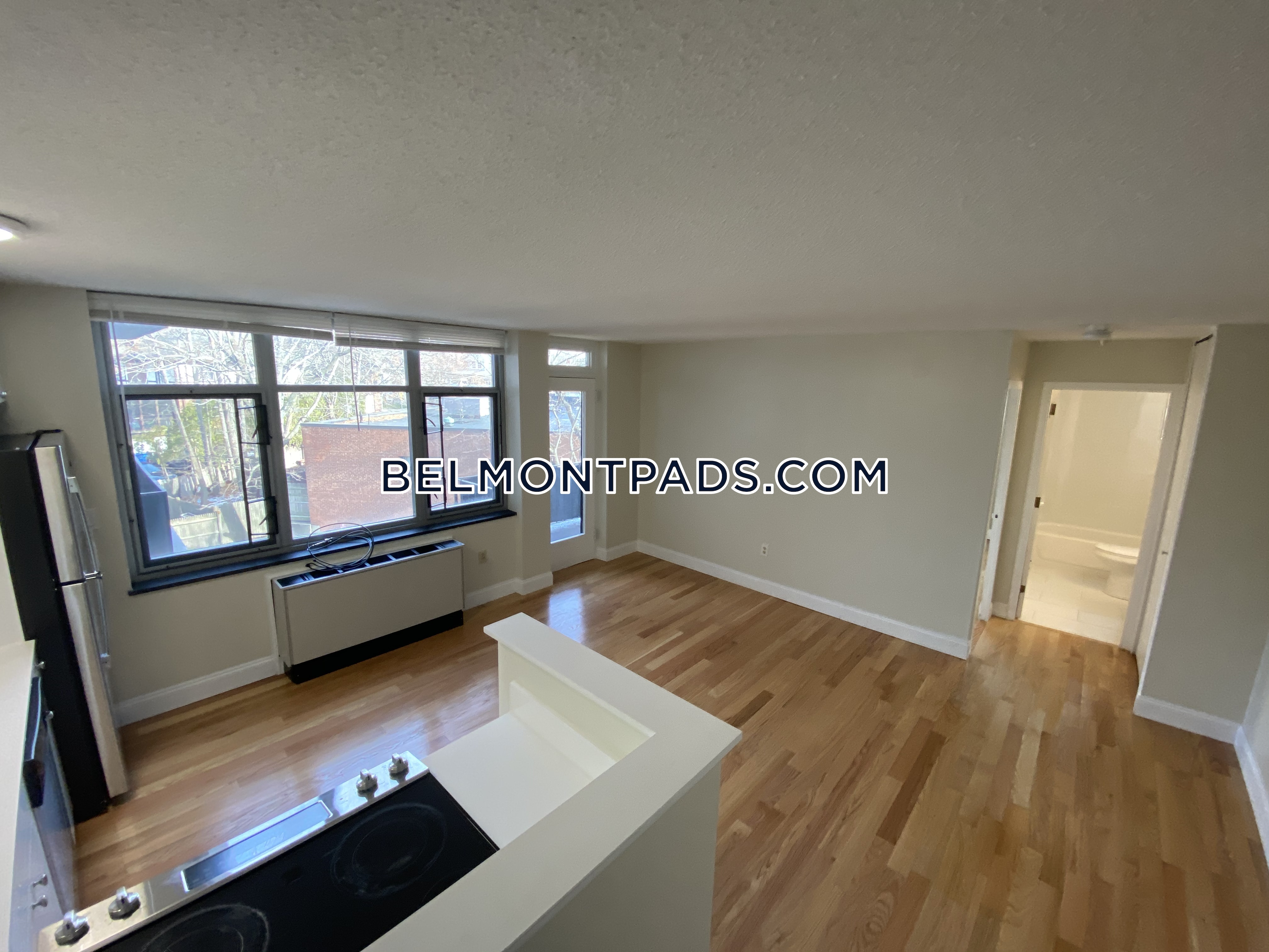 1 bed, 1 bath apartment for rent at 125 Trapelo Rd Unit 19, Cushing Square — photo 2 of 13