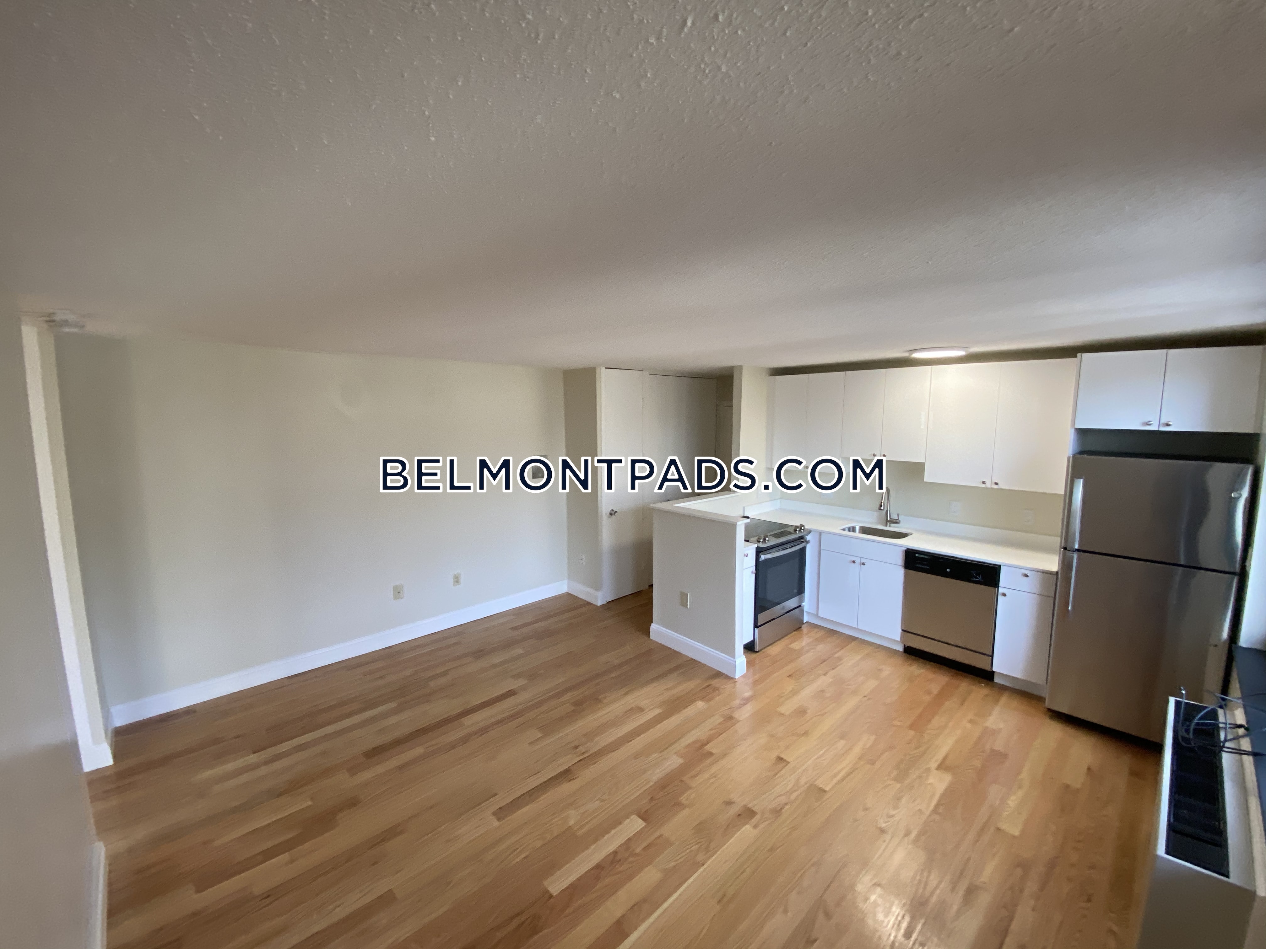 1 bed, 1 bath apartment for rent at 125 Trapelo Rd Unit 19, Cushing Square — photo 6 of 13