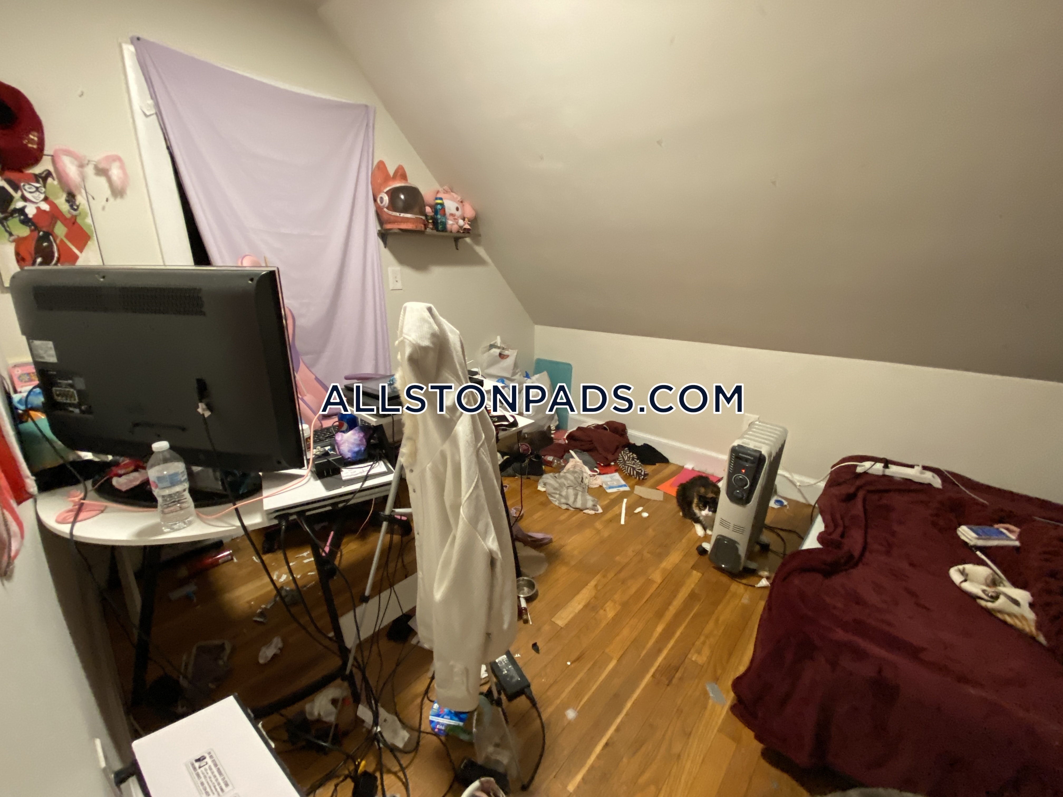 4 bed, 1 bath apartment for rent at 18 Greylock Rd Unit U3, Allston — photo 8 of 21