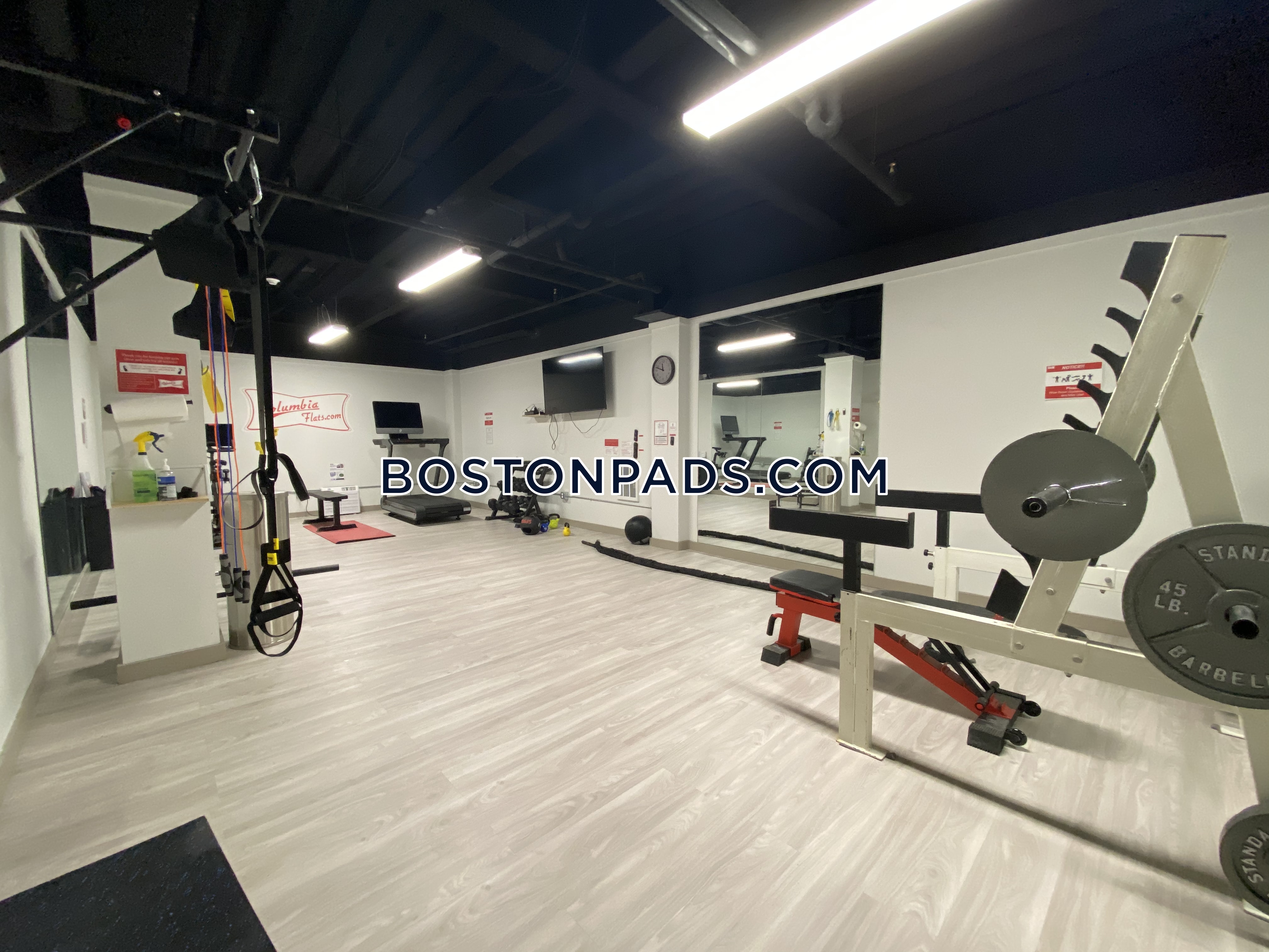 1 bed, 1 bath apartment for rent at 1258 Massachusetts Ave Unit 208, Dorchester — photo 6 of 12
