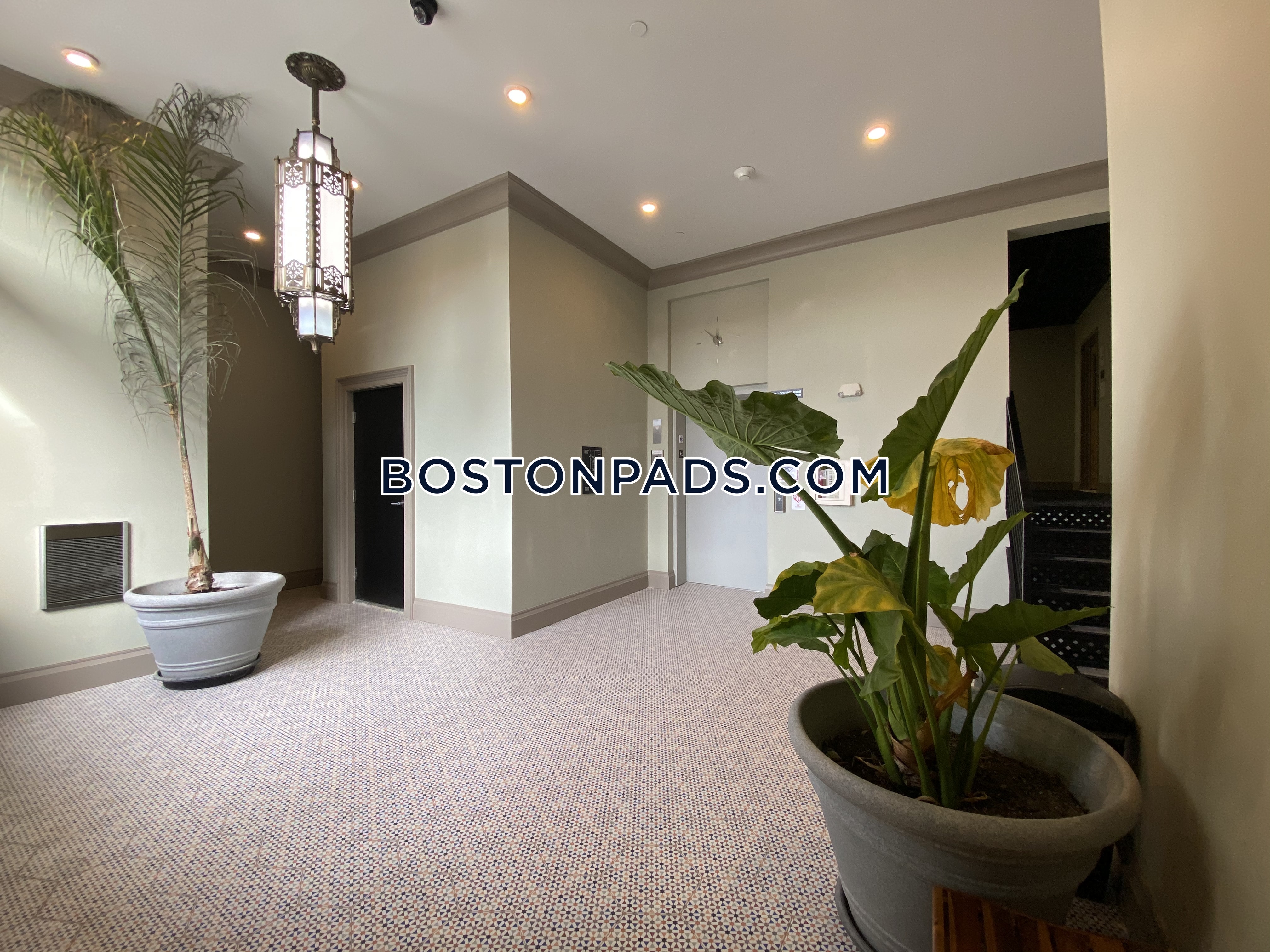1 bed, 1 bath apartment for rent at 1258 Massachusetts Ave Unit 208, Dorchester — photo 7 of 12