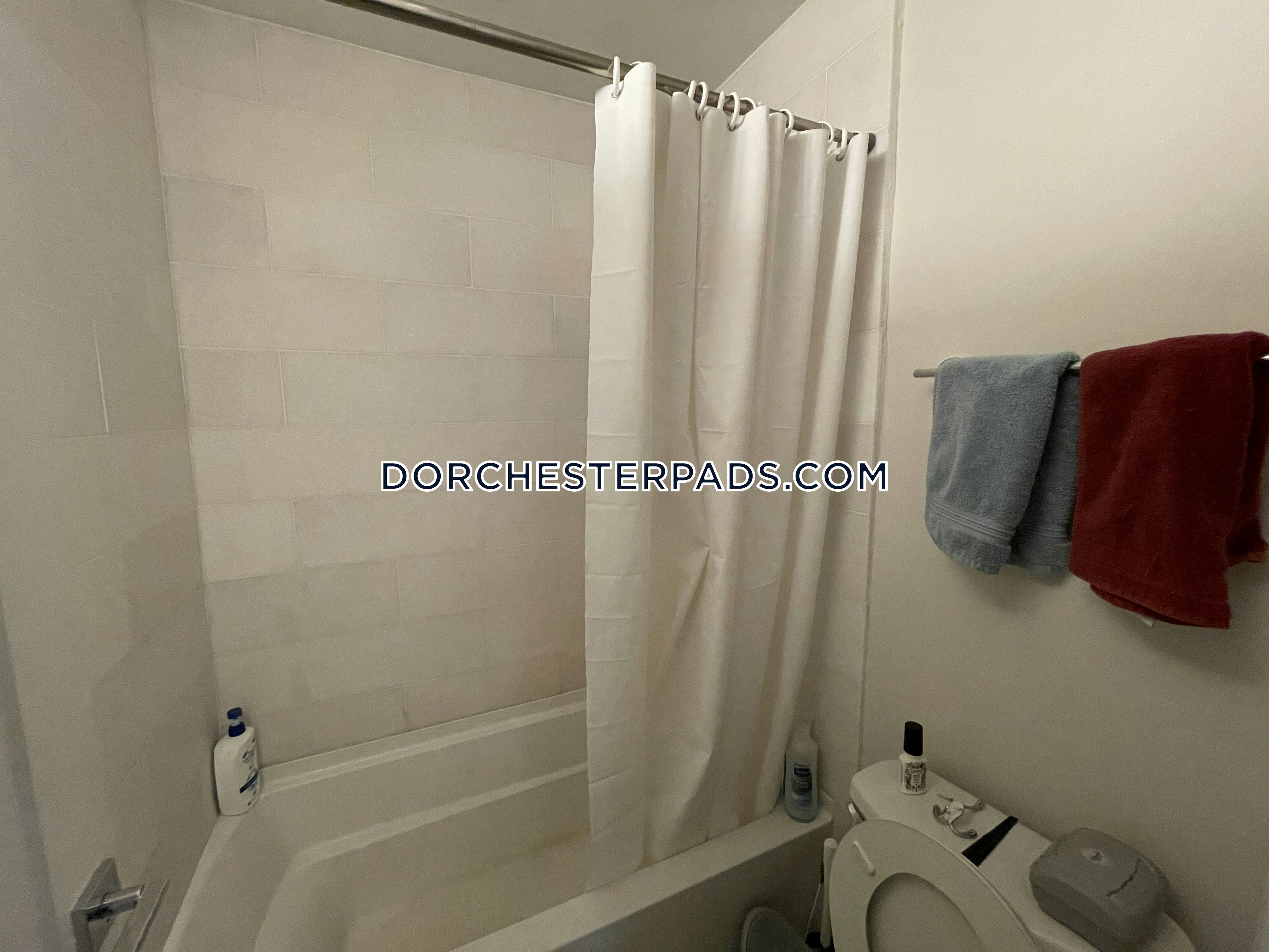 3 bed, 2 bath apartment for rent at 48 Tuttle Unit 1, Dorchester — photo 7 of 9