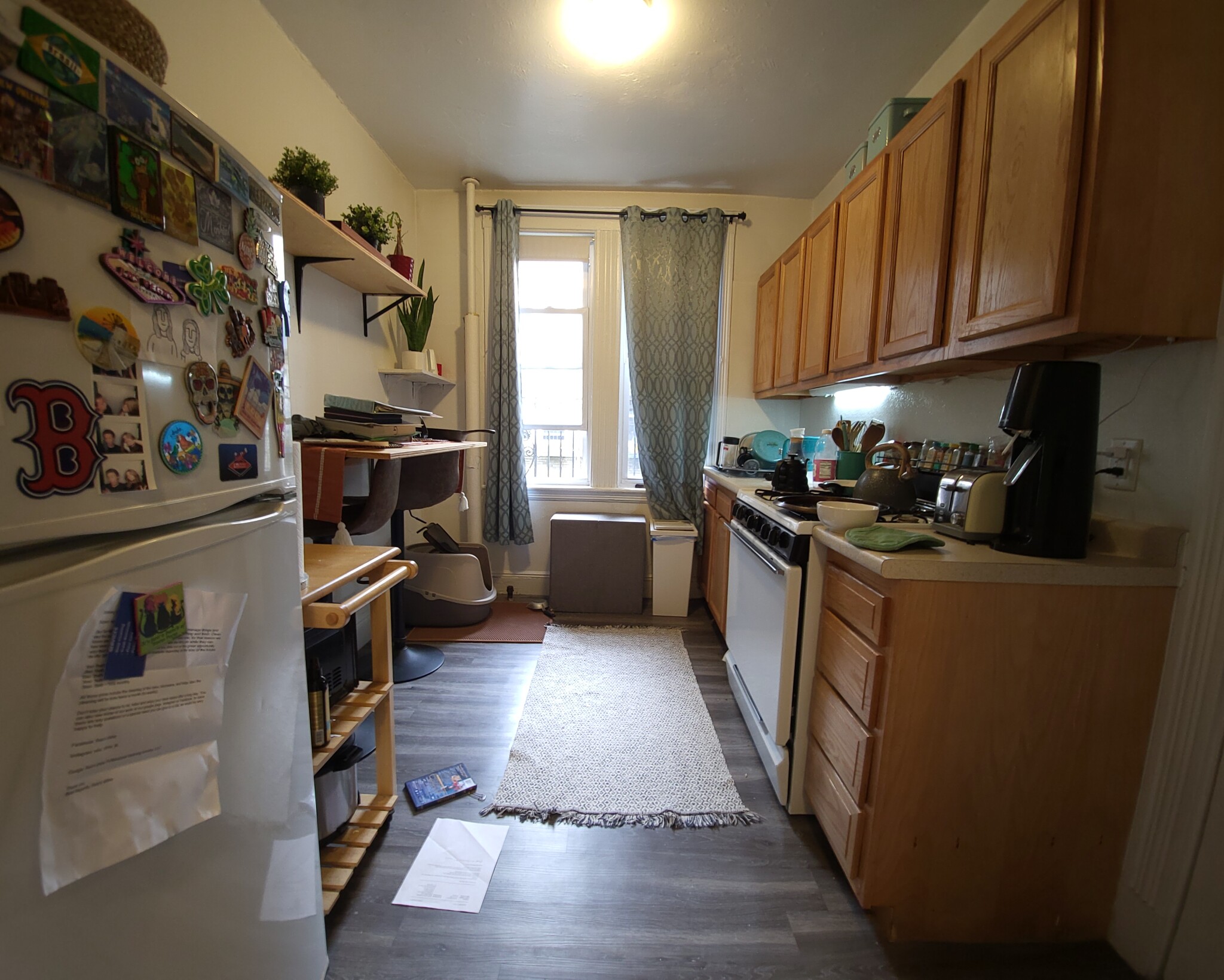 1 bed, 1 bath apartment for rent at 1626 Commonwealth Ave Unit 19, Brighton — photo 2 of 3