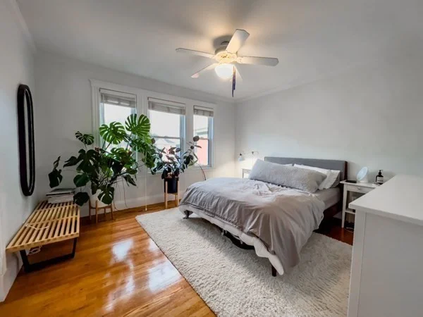 23 Goldsmith St, Jamaica Plain