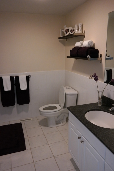 2 bed, 2 bath apartment for rent at 163 E Cottage St Unit 1, Dorchester — photo 17 of 20