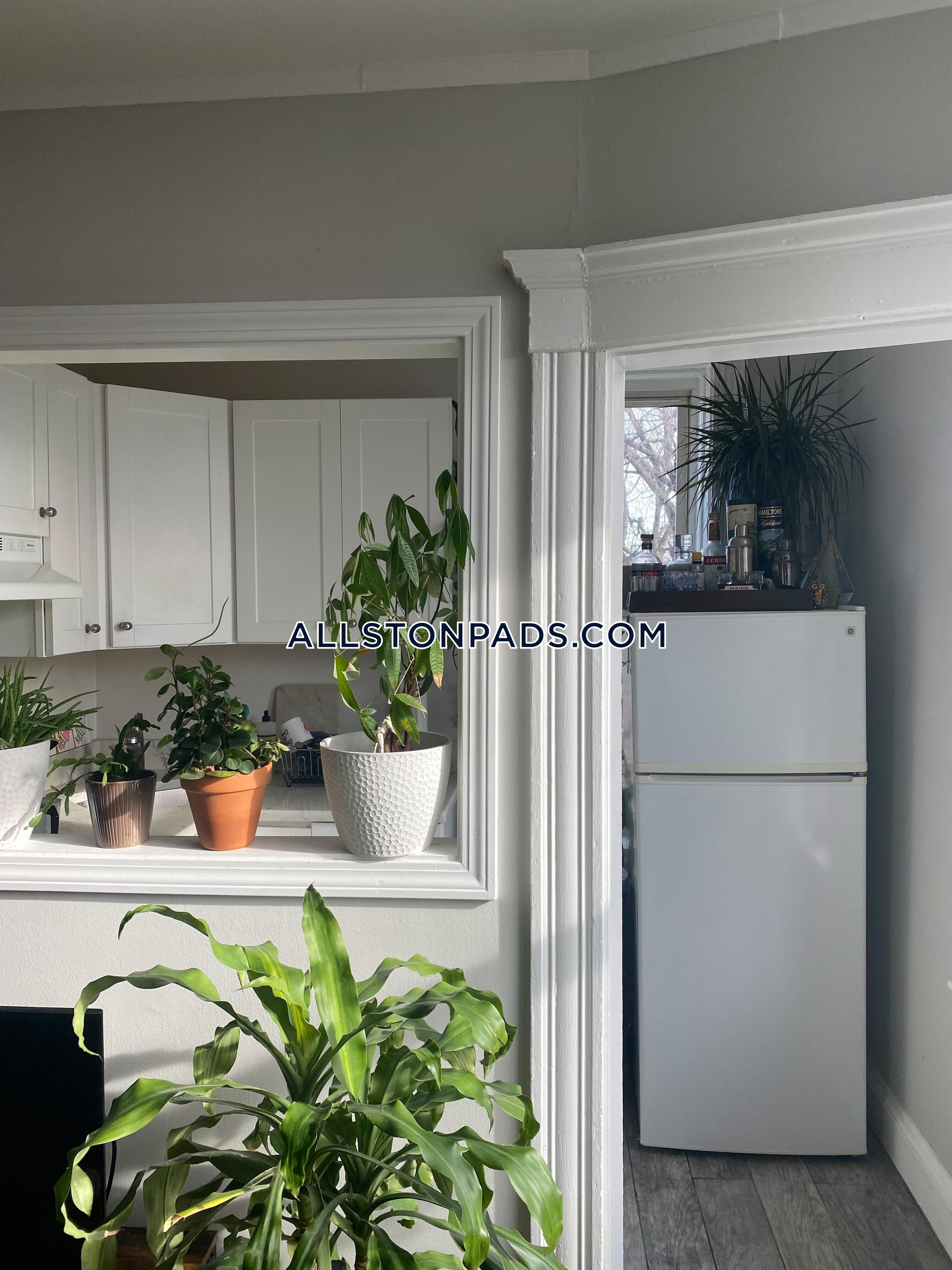 1 bed, 1 bath apartment for rent at 12 Farrington Ave Unit 5A, Allston — photo 4 of 12