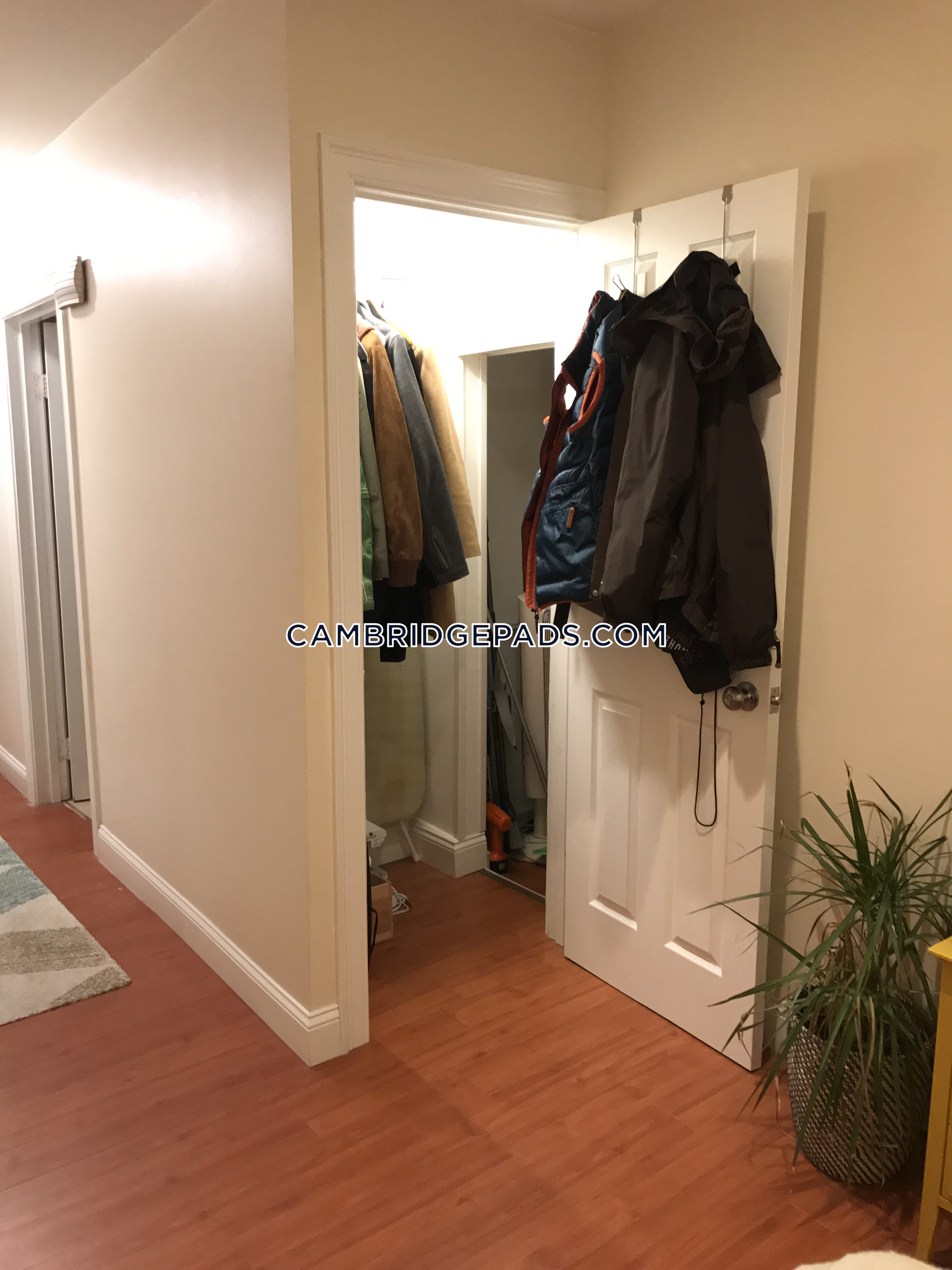 2 bed, 1 bath apartment for rent at 307 Cardinal Medeiros Ave Unit 1, Kendall Square — photo 9 of 15