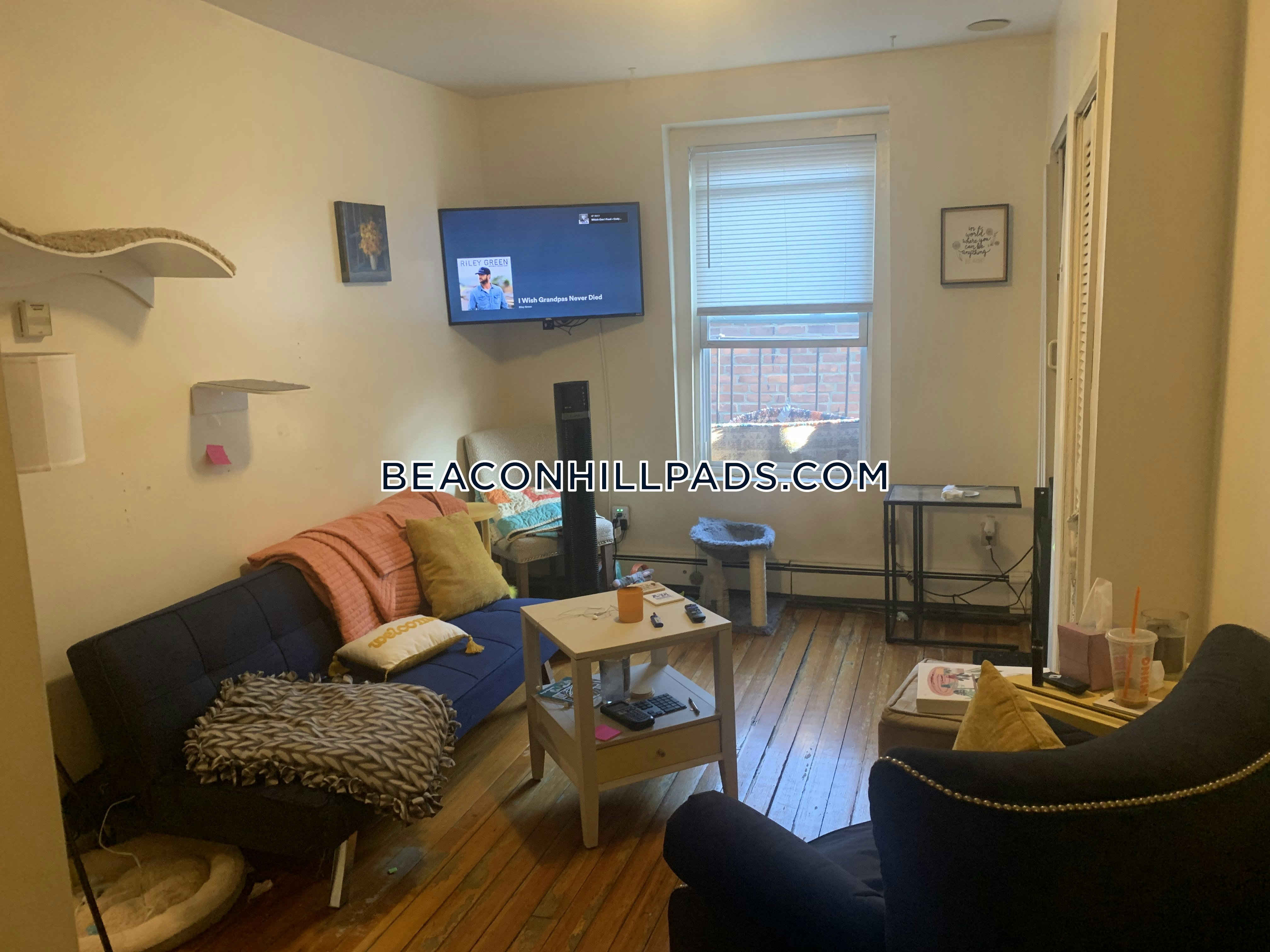 Studio bed, 1 bath apartment for rent at 232 Cambridge St Unit 11, Beacon Hill — photo 1 of 4