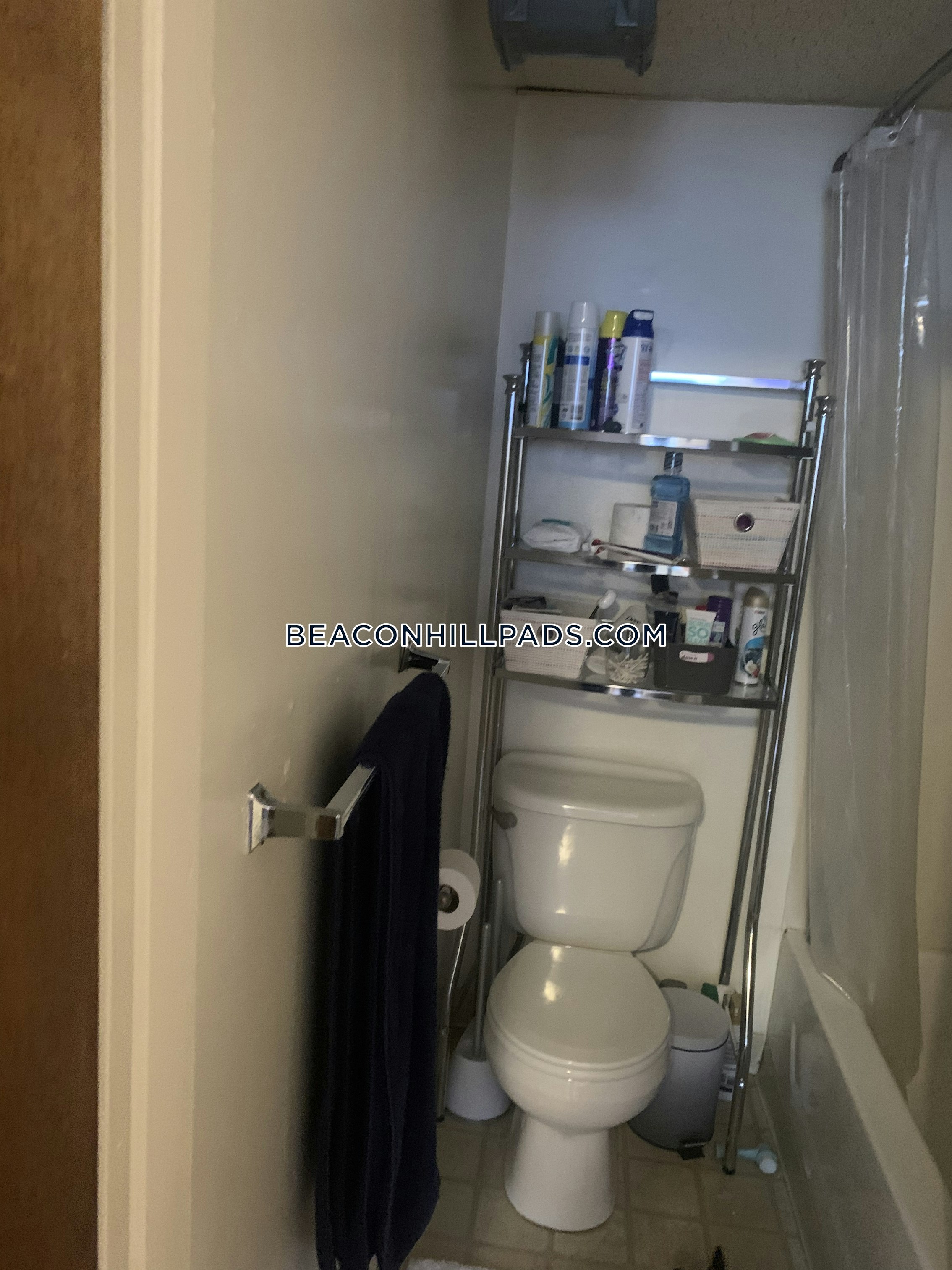 Studio bed, 1 bath apartment for rent at 232 Cambridge St Unit 11, Beacon Hill — photo 4 of 4