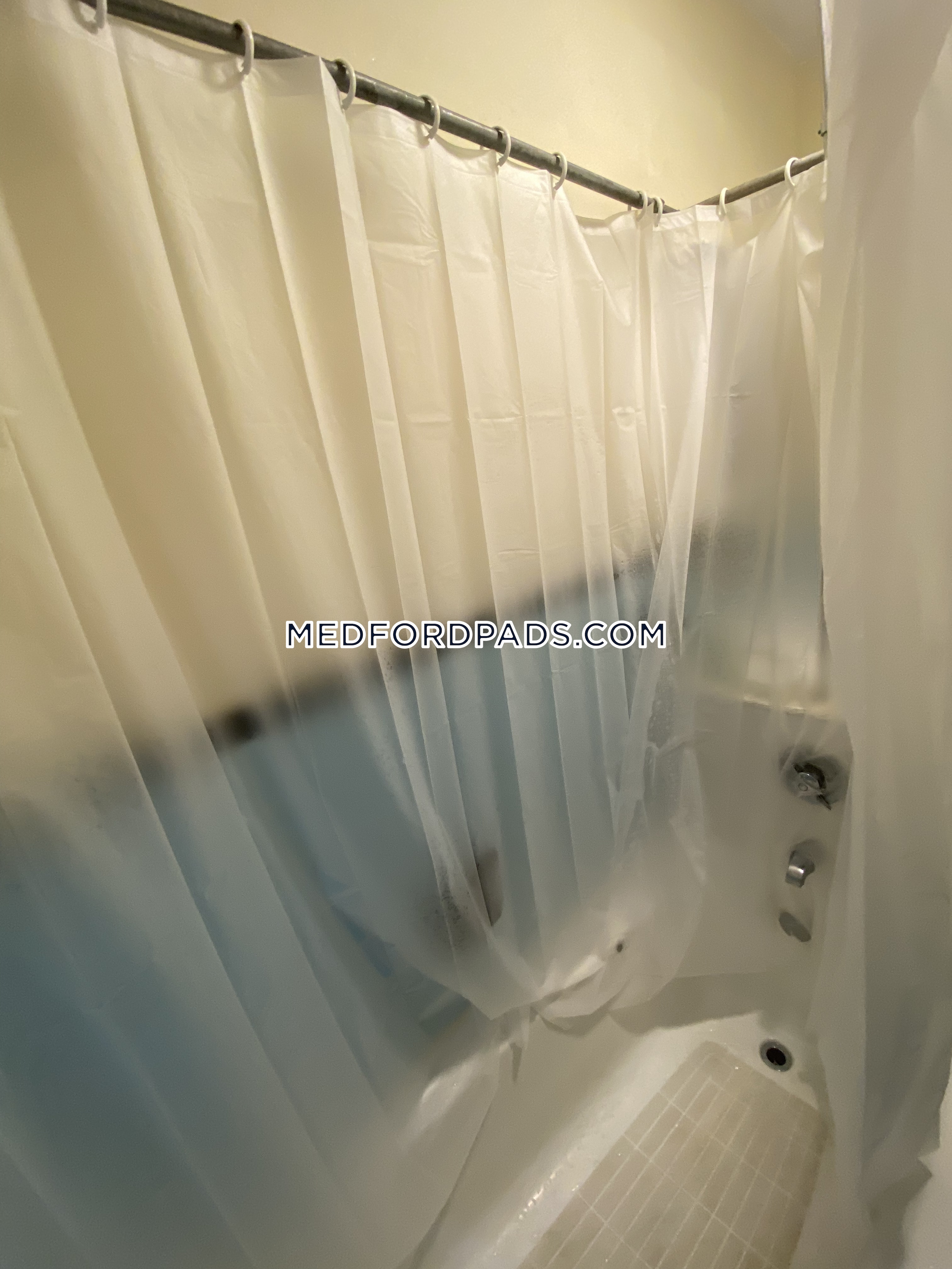 4 bed, 1 bath apartment for rent at 30 Adams St Unit 1, Tufts University — photo 8 of 13