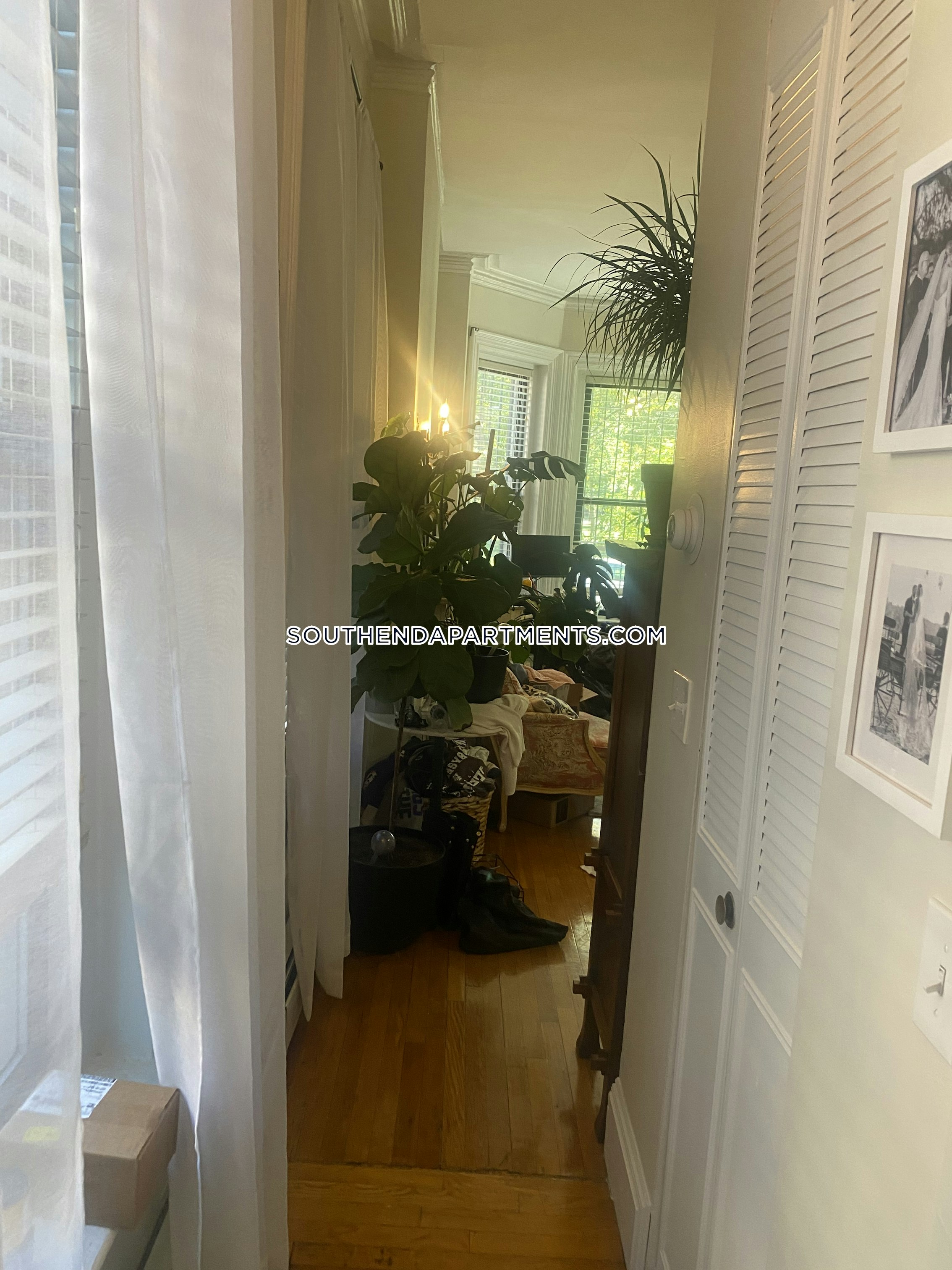 1 bed, 1 bath apartment for rent at 423 Shawmut Ave Unit 1, South End — photo 5 of 8