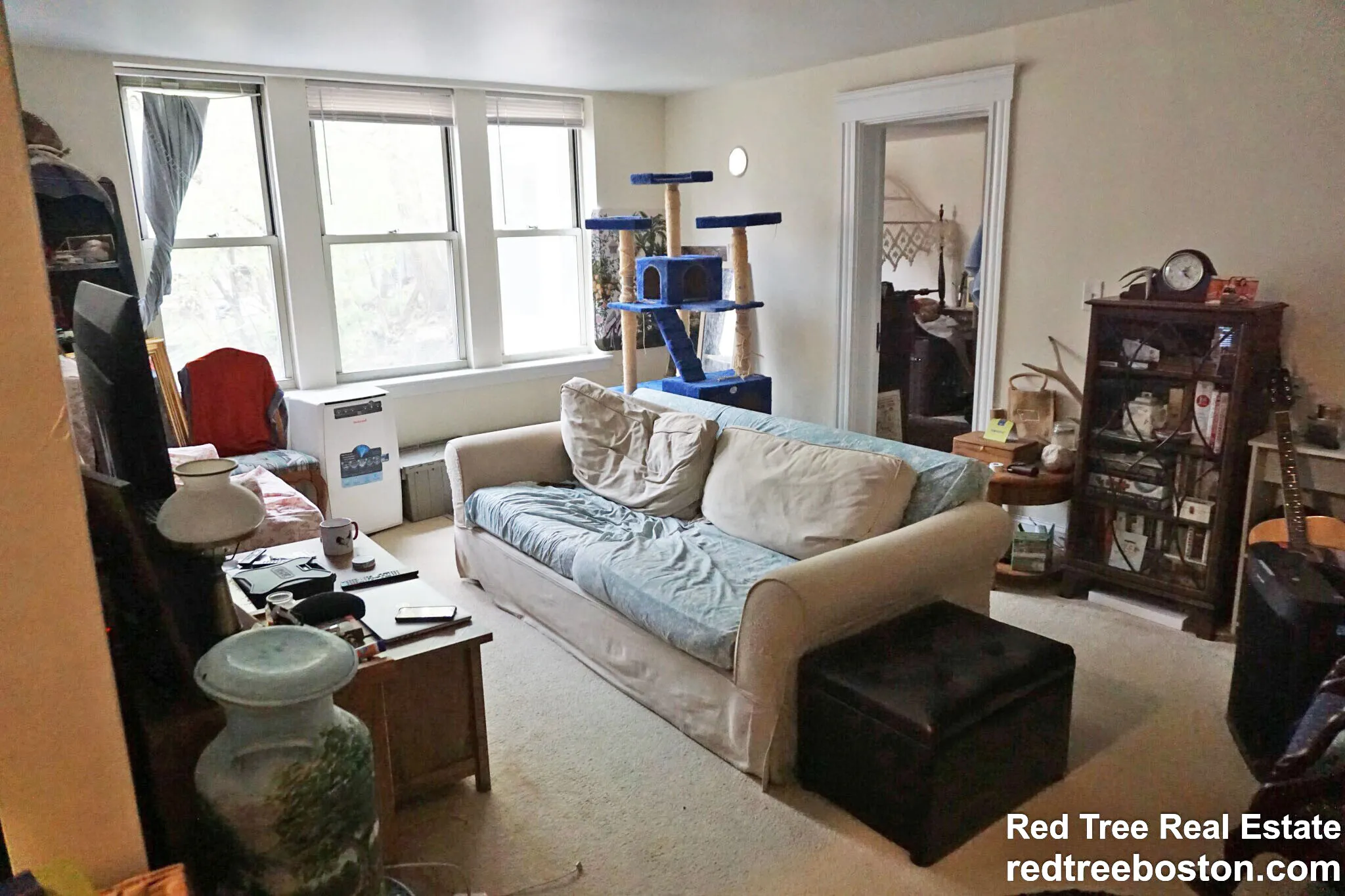 20 Colborne Rd, Brighton