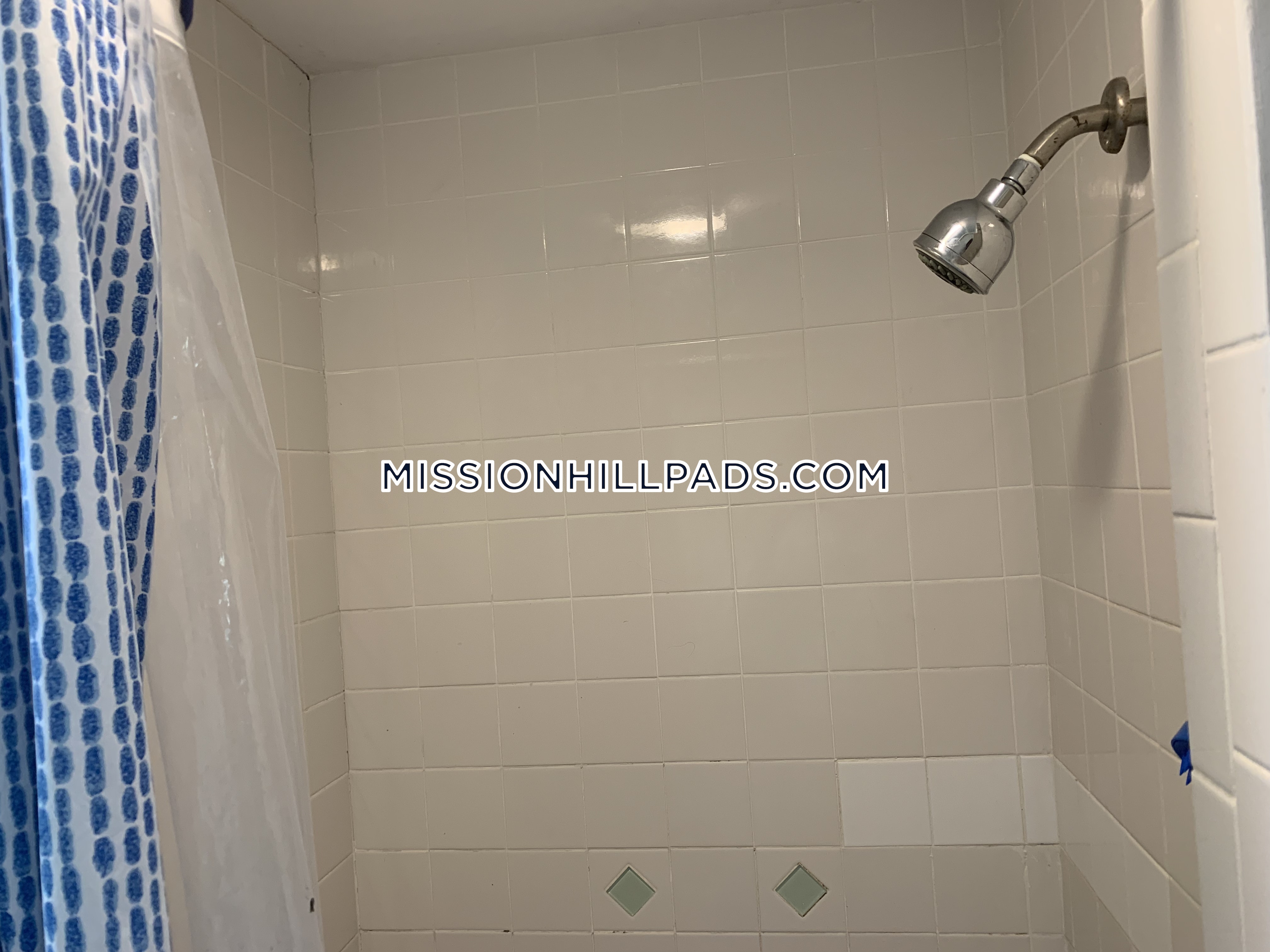6 bed, 2.5 bath apartment for rent at 1 Sachem St Unit U3, Mission Hill — photo 28 of 45
