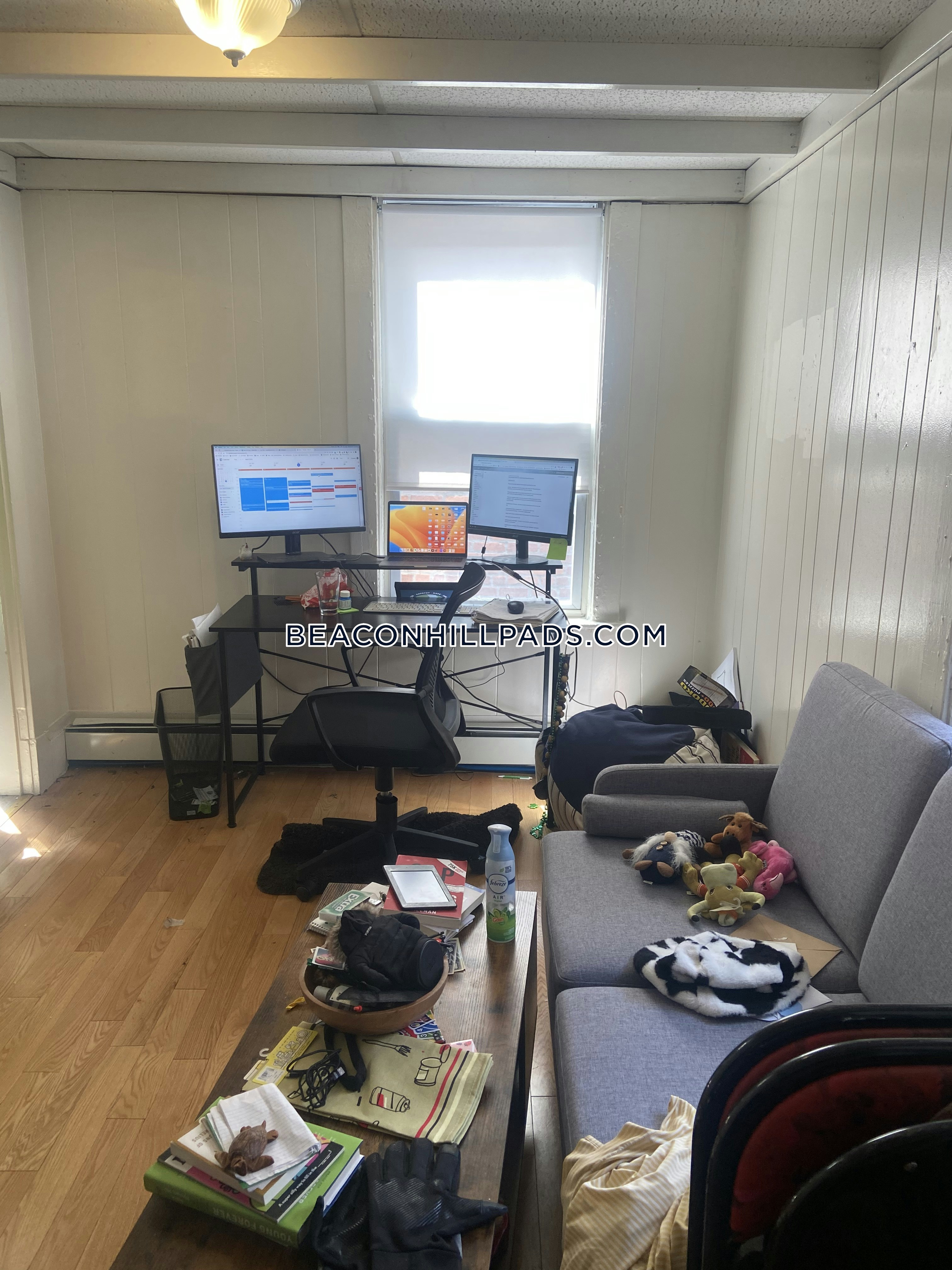 Studio bed, 1 bath apartment for rent at 224 Cambridge St Unit 6, Beacon Hill — photo 2 of 4