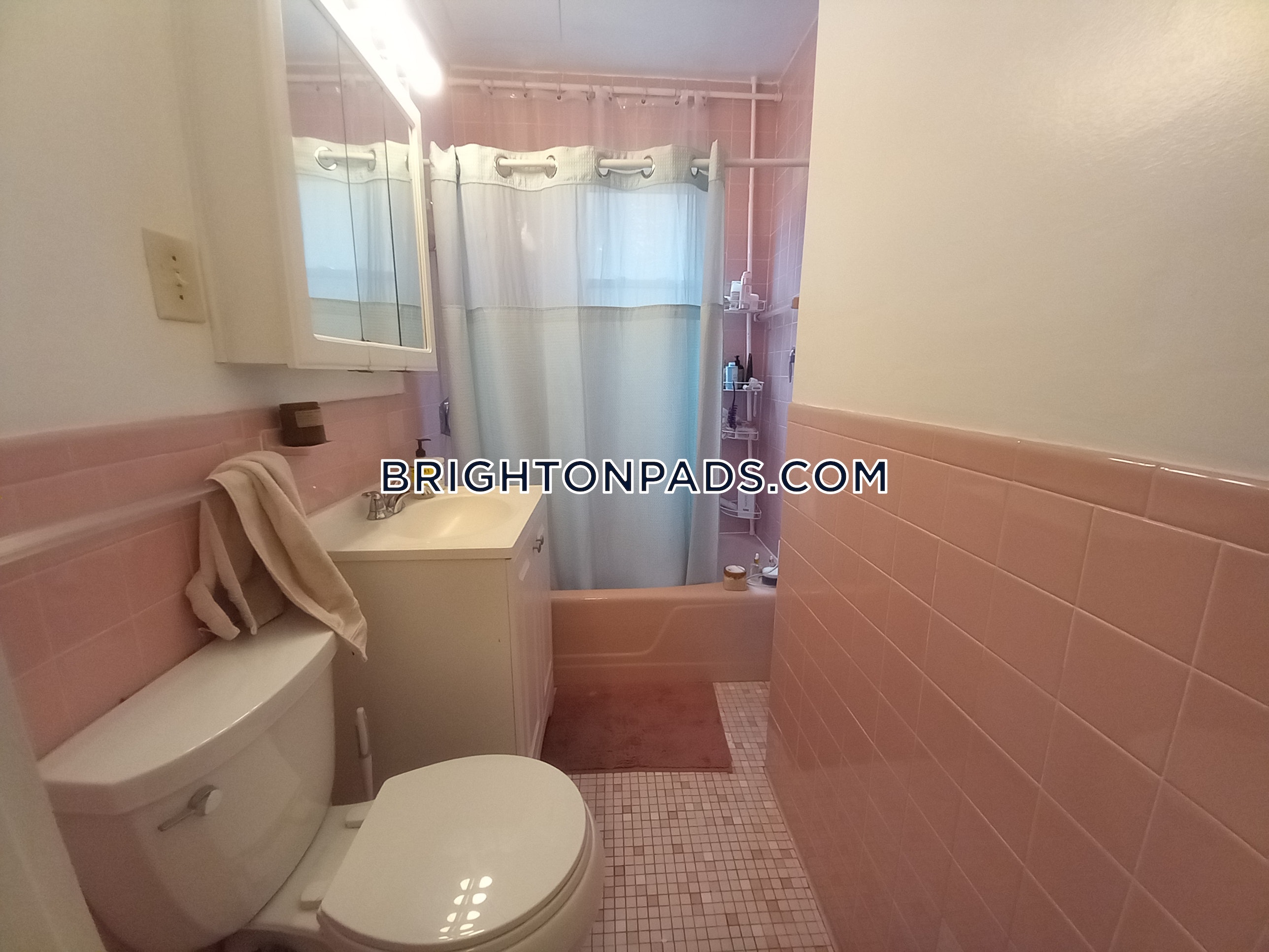 3 bed, 1 bath apartment for rent at 6 Mapleton St, Brighton — photo 24 of 24