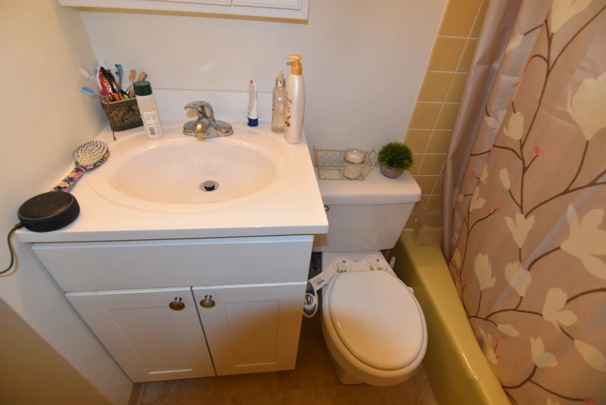 5 Royce Rd, Allston