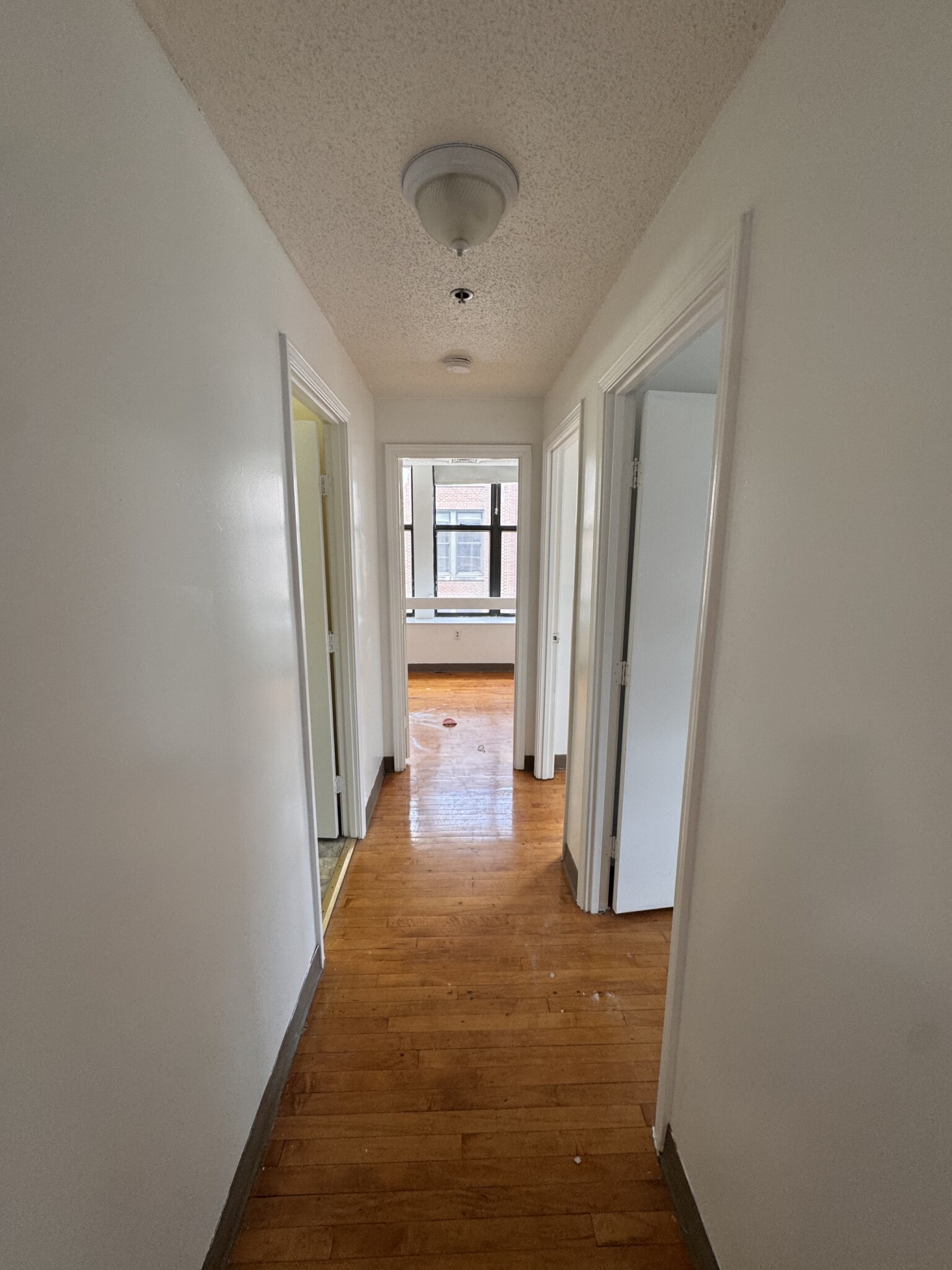 65 Harrison Ave, Chinatown