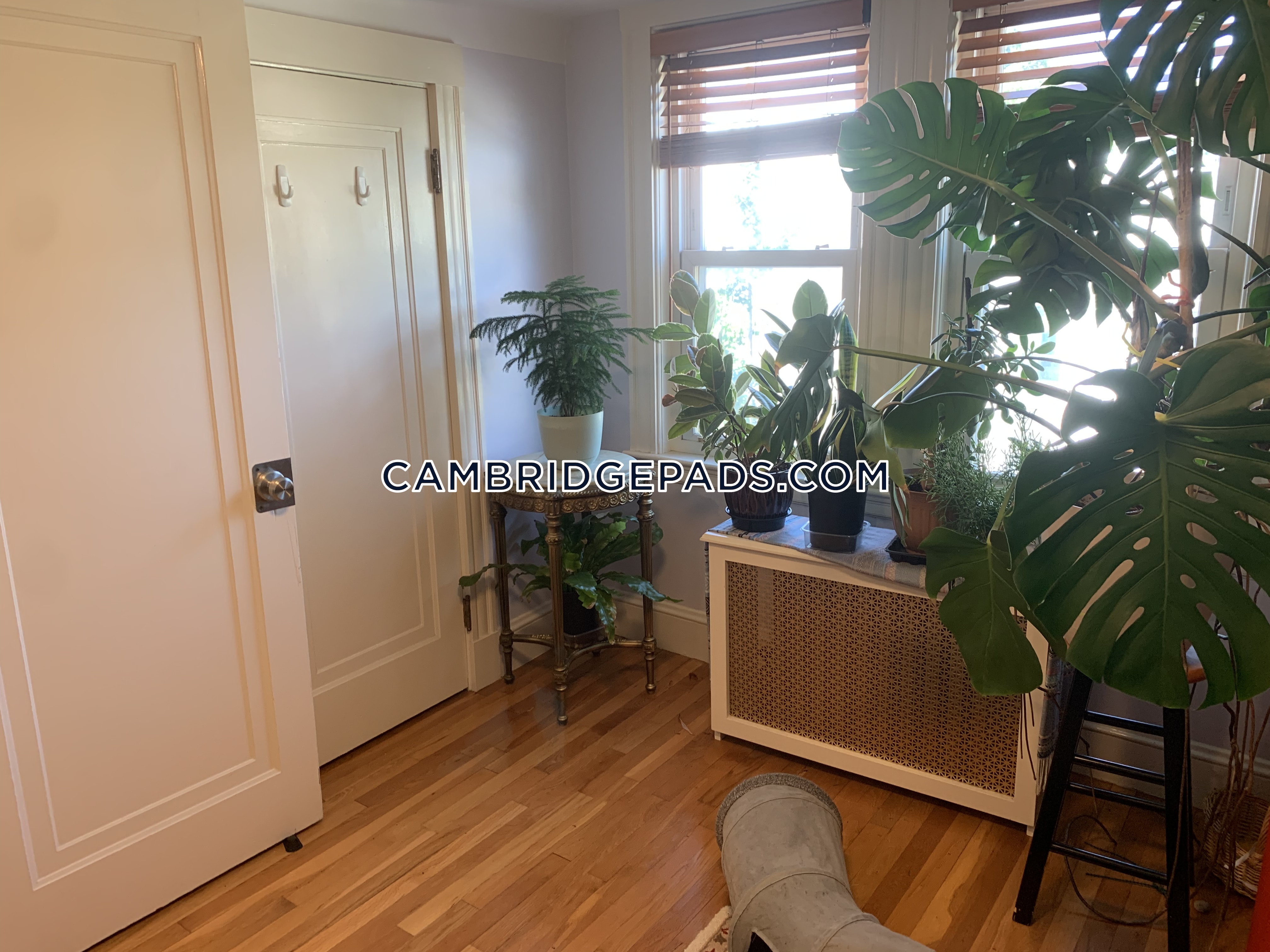 1 bed, 1 bath apartment for rent at 18 Kimball St Unit 3, North Cambridge — photo 20 of 24