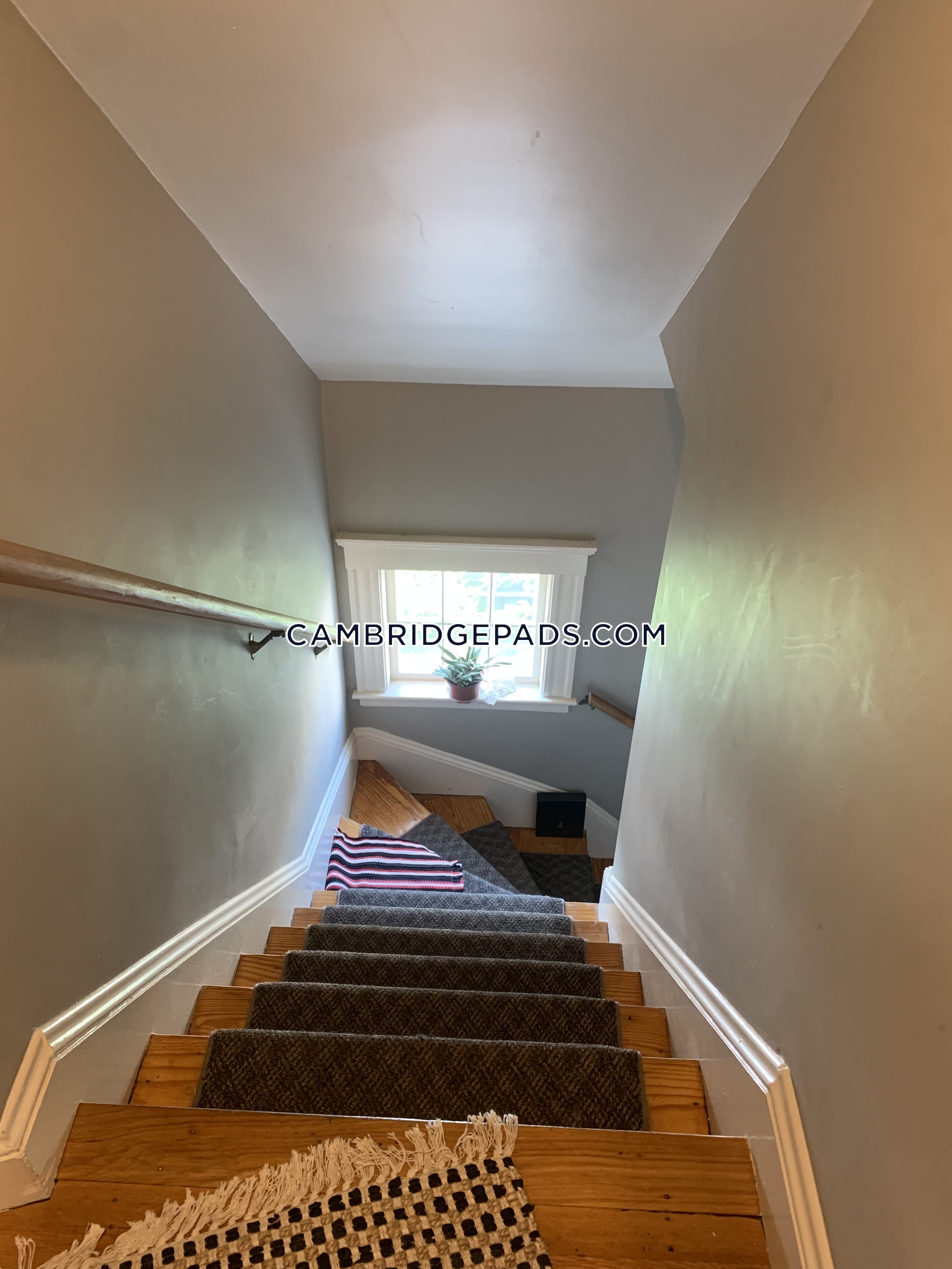 1 bed, 1 bath apartment for rent at 18 Kimball St Unit 3, North Cambridge — photo 10 of 24
