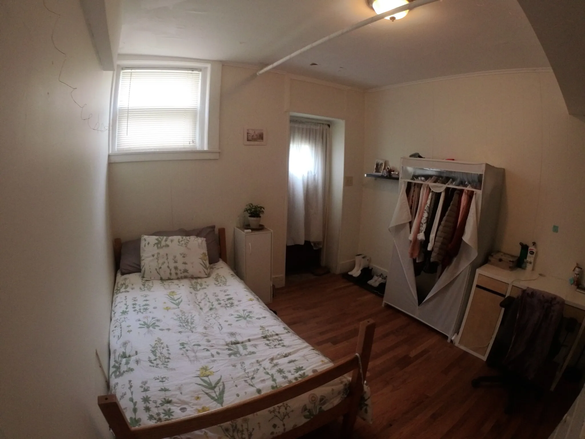 241 Freeman St, North Brookline