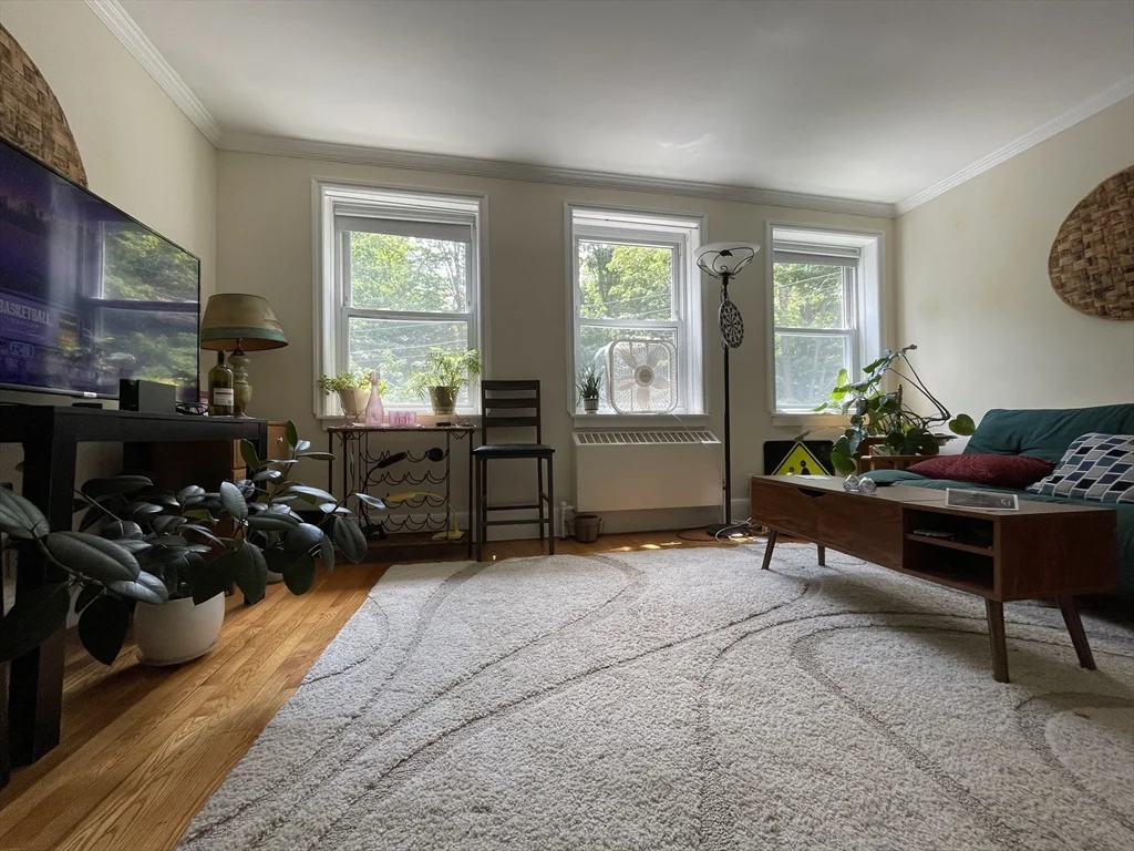 98 Morton St, Jamaica Plain