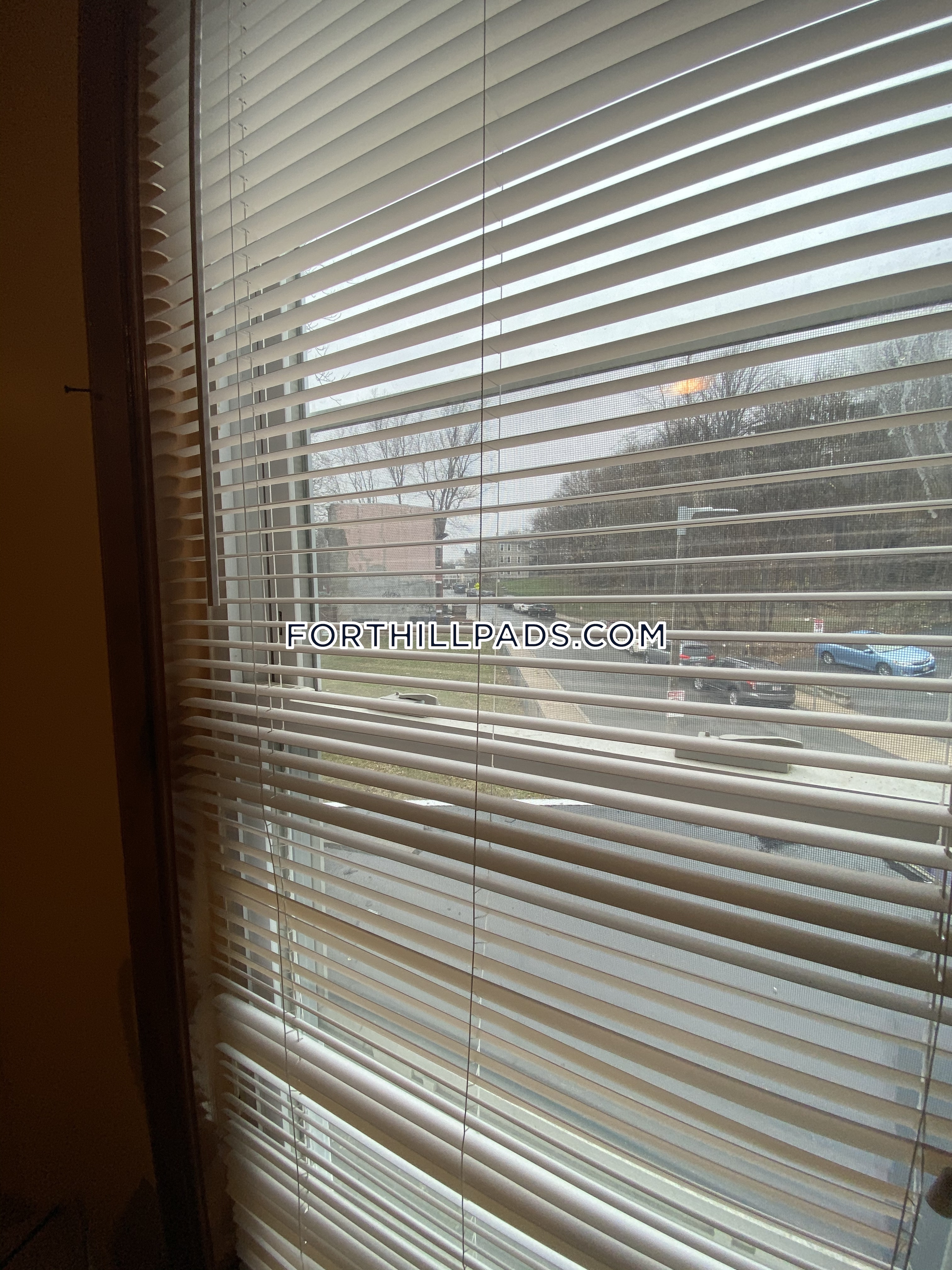 4 bed, 2 bath apartment for rent at 251 Highland St Unit 2, Roxbury — photo 9 of 28