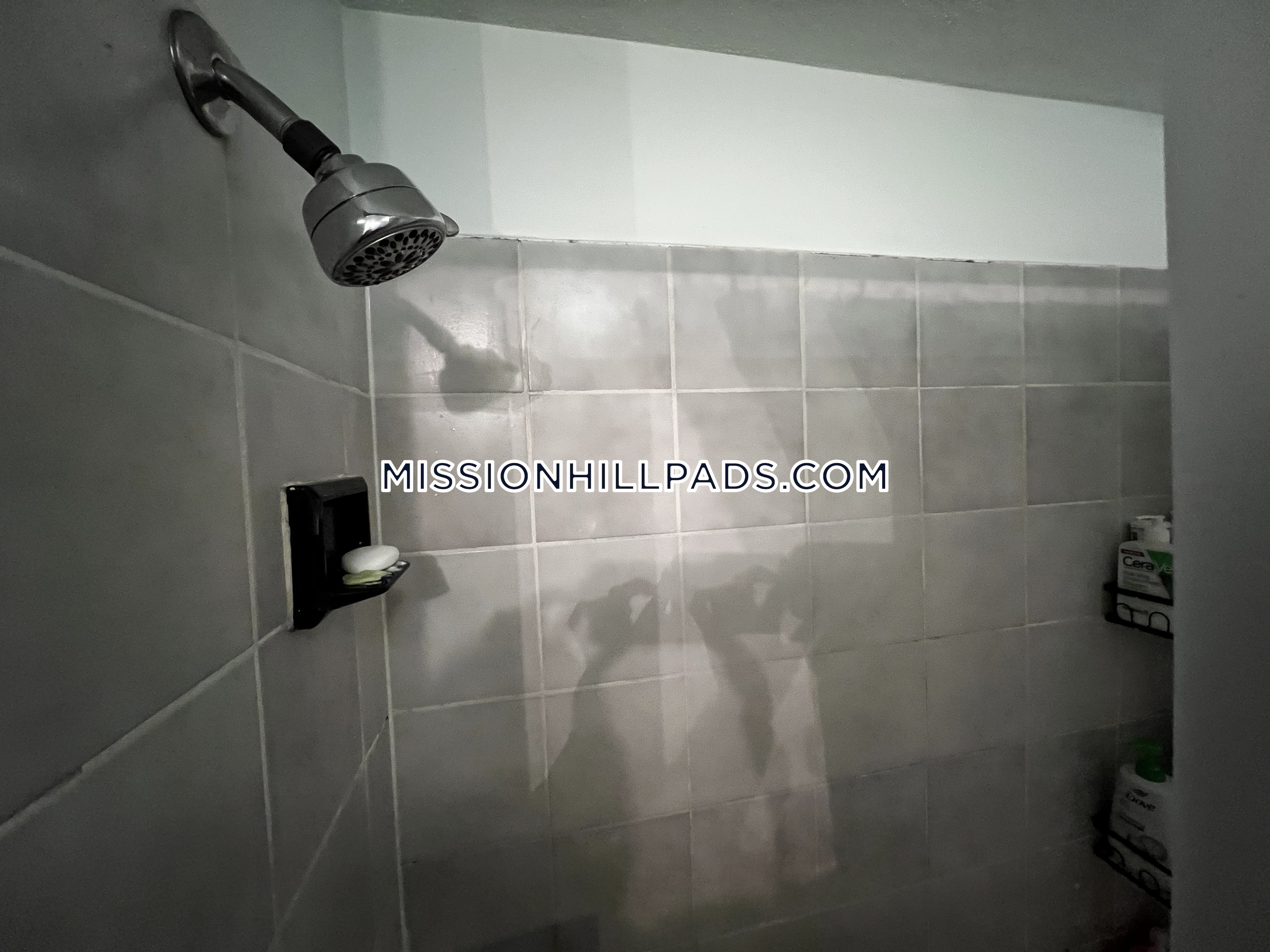 4 bed, 1 bath apartment for rent at 40 Hillside St Unit 2, Mission Hill — photo 23 of 25