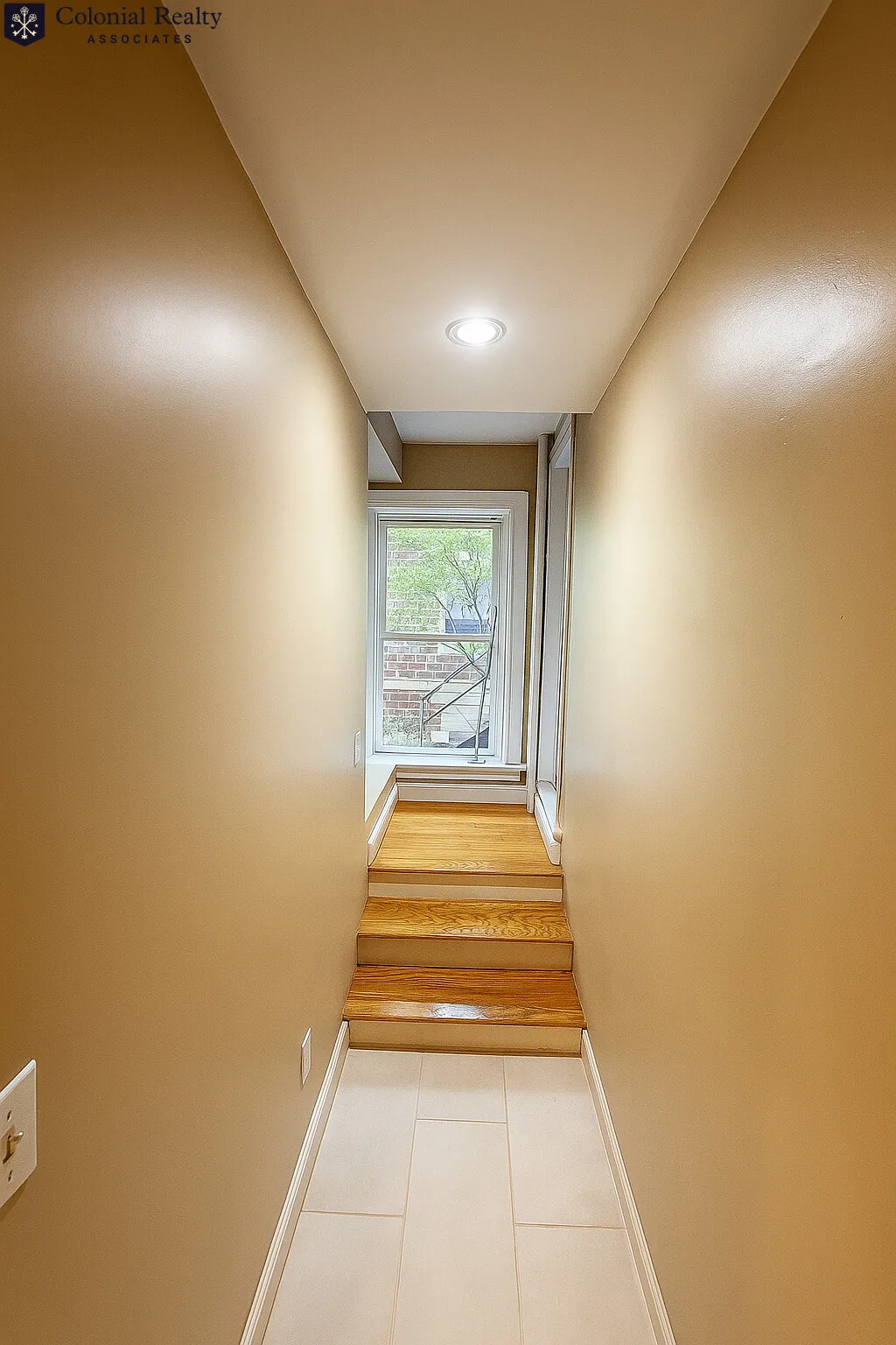 60 Egmont St, North Brookline