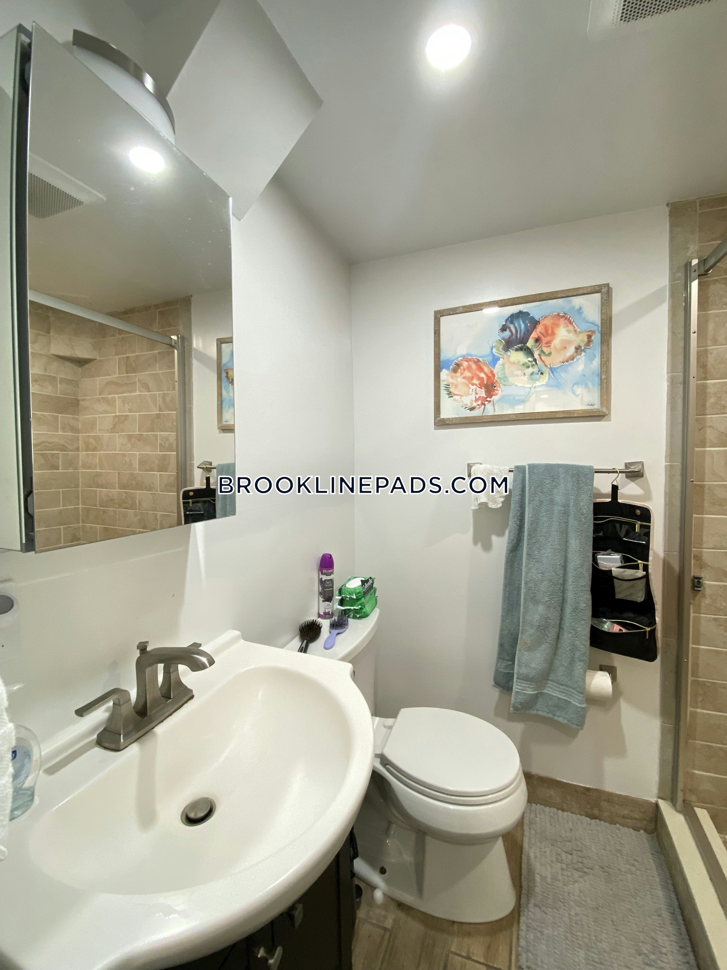 1 bed, 1 bath apartment for rent at 49 Boylston St Unit B, Boylston Street — photo 6 of 7