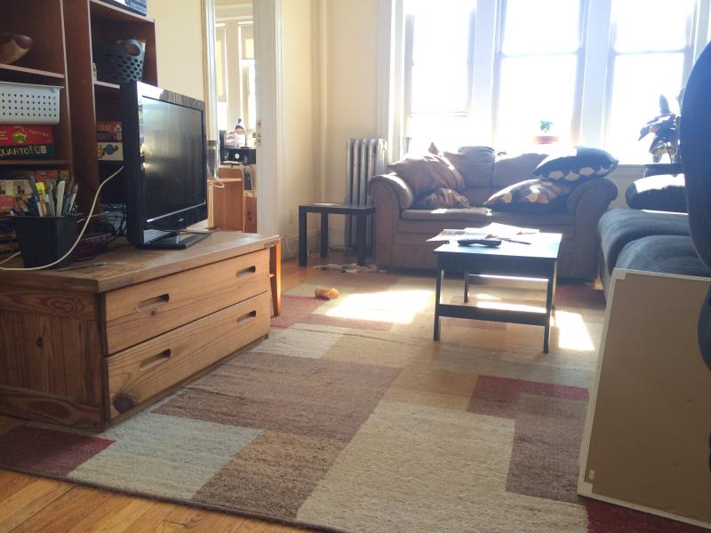 2 bed, 1 bath apartment for rent at 1715 Commonwealth Ave Unit 5, Brighton — photo 1 of 8