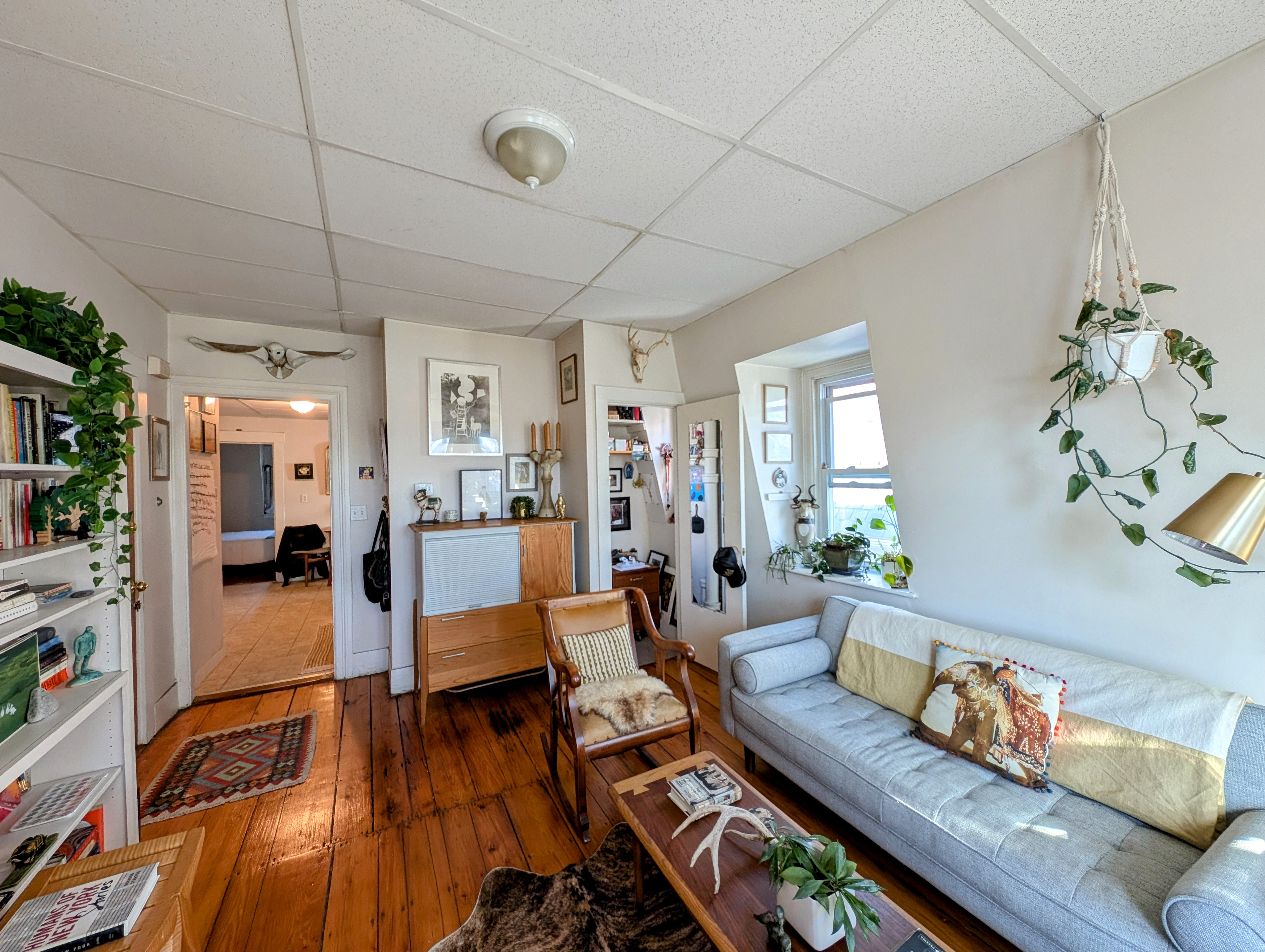 379 Windsor St, Wellington-Harrington