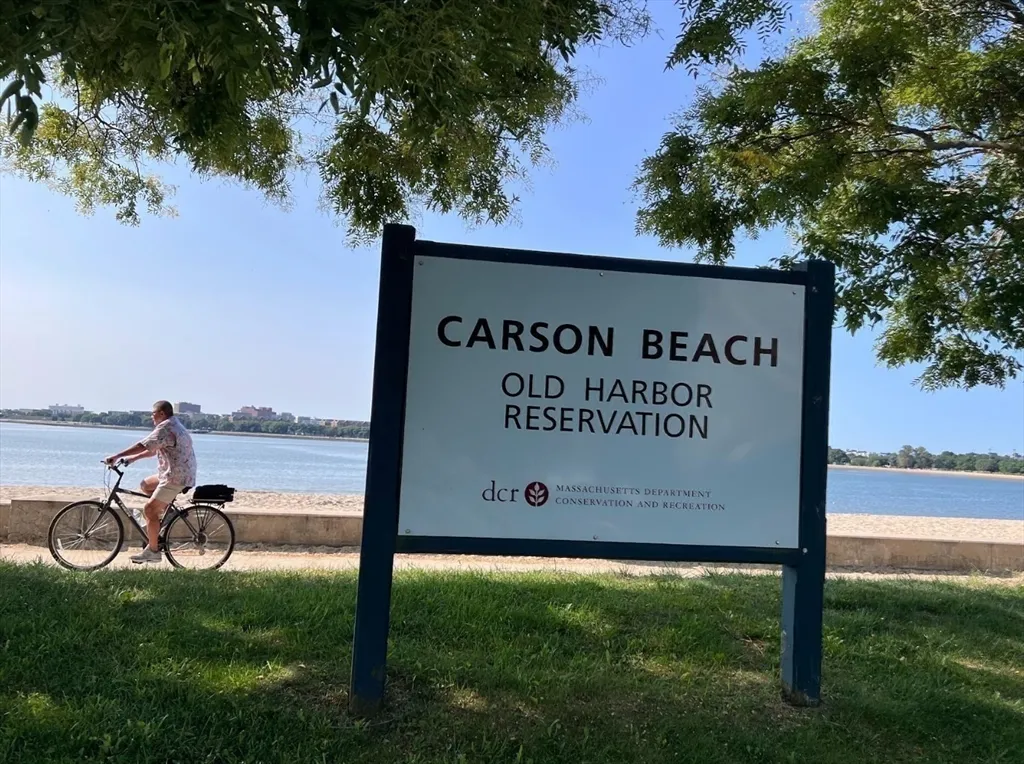 33 Ward St, South Boston