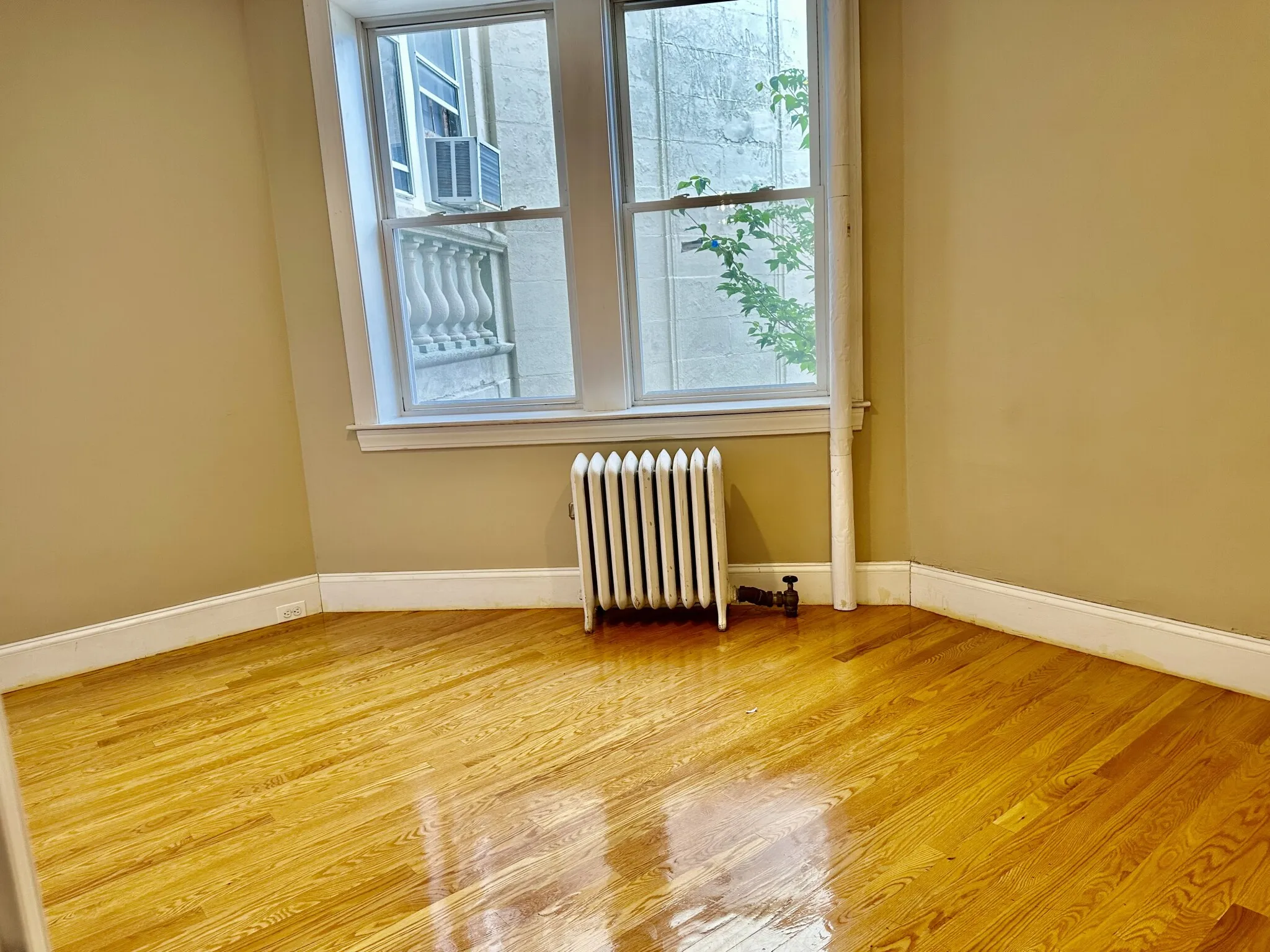 66 Egmont St, North Brookline