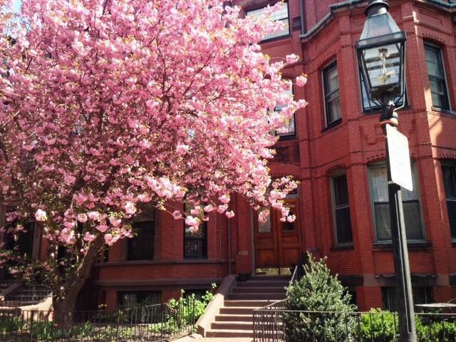 Studio bed, 1 bath apartment for rent at 178 Marlborough St Unit Bf, Back Bay — photo 8 of 9