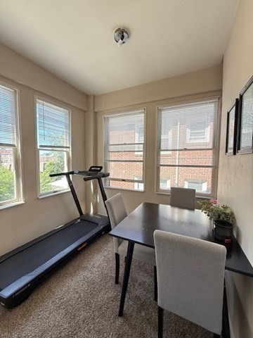 256 Corey Rd, Brighton