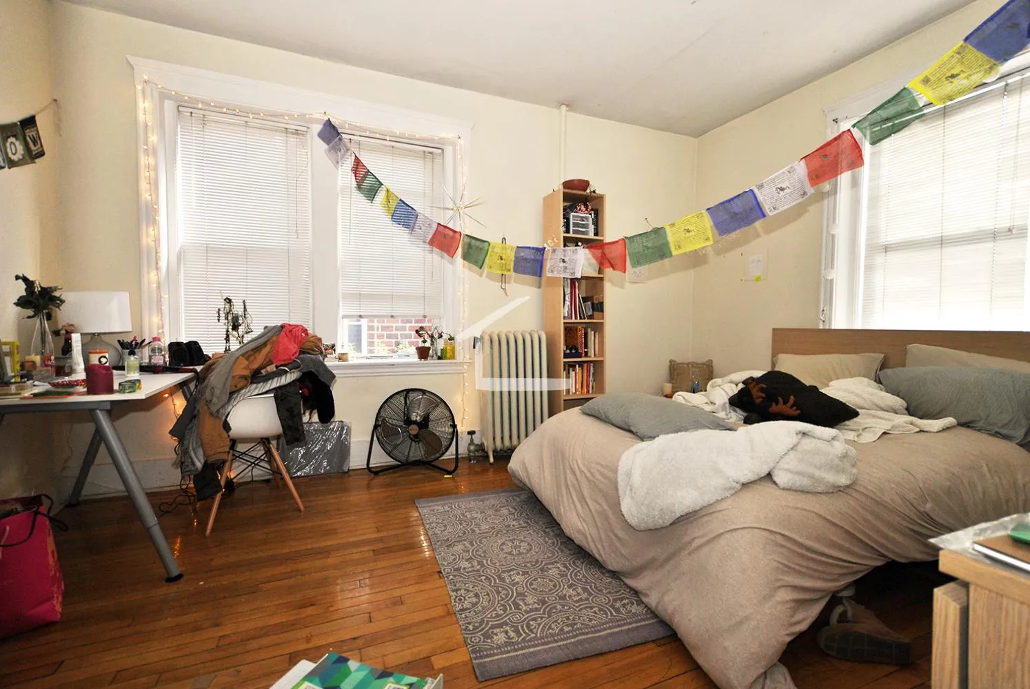 62 Egmont St, North Brookline