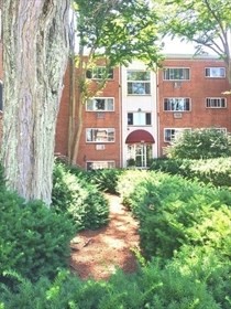 245 Kelton St, Brighton