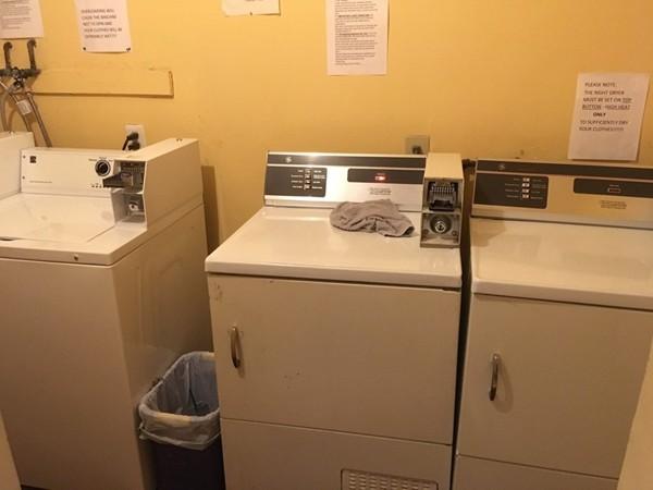 1 bed, 1 bath apartment for rent at 11 Gorham St Unit 3, Brighton — photo 4 of 16