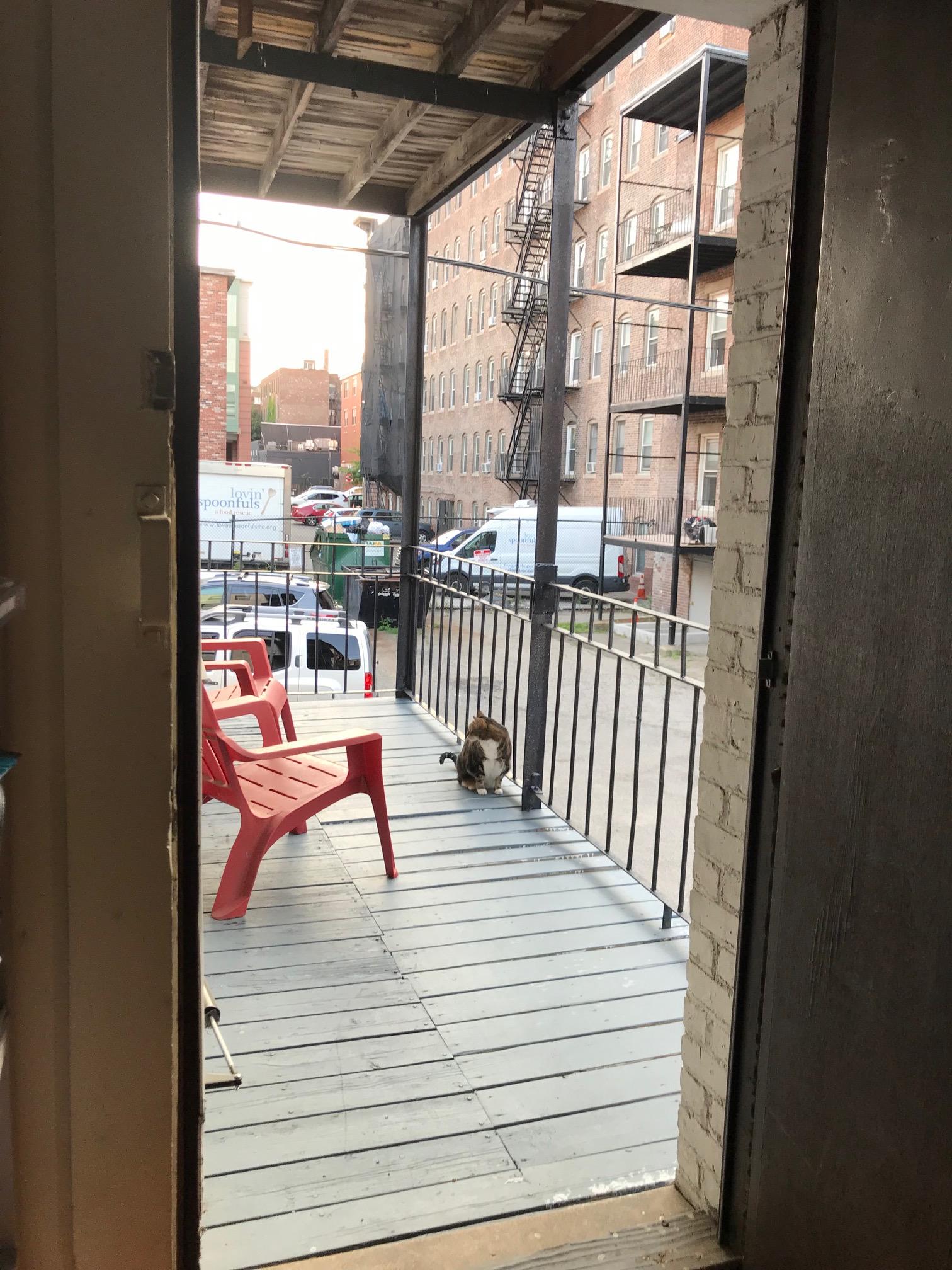 1 bed, 1 bath apartment for rent at 11 Gorham St Unit 4, Brighton — photo 8 of 13