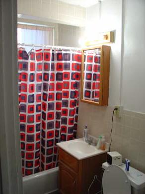 1 bed, 1 bath apartment for rent at 14 Lakeville Rd Unit 11, Jamaica Plain — photo 9 of 10