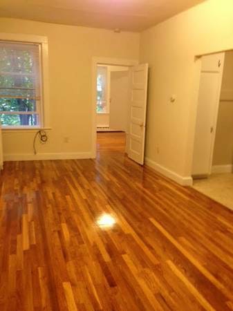 1 bed, 1 bath apartment for rent at 181 Winthrop Rd Unit 1, Washington Square — photo 6 of 14