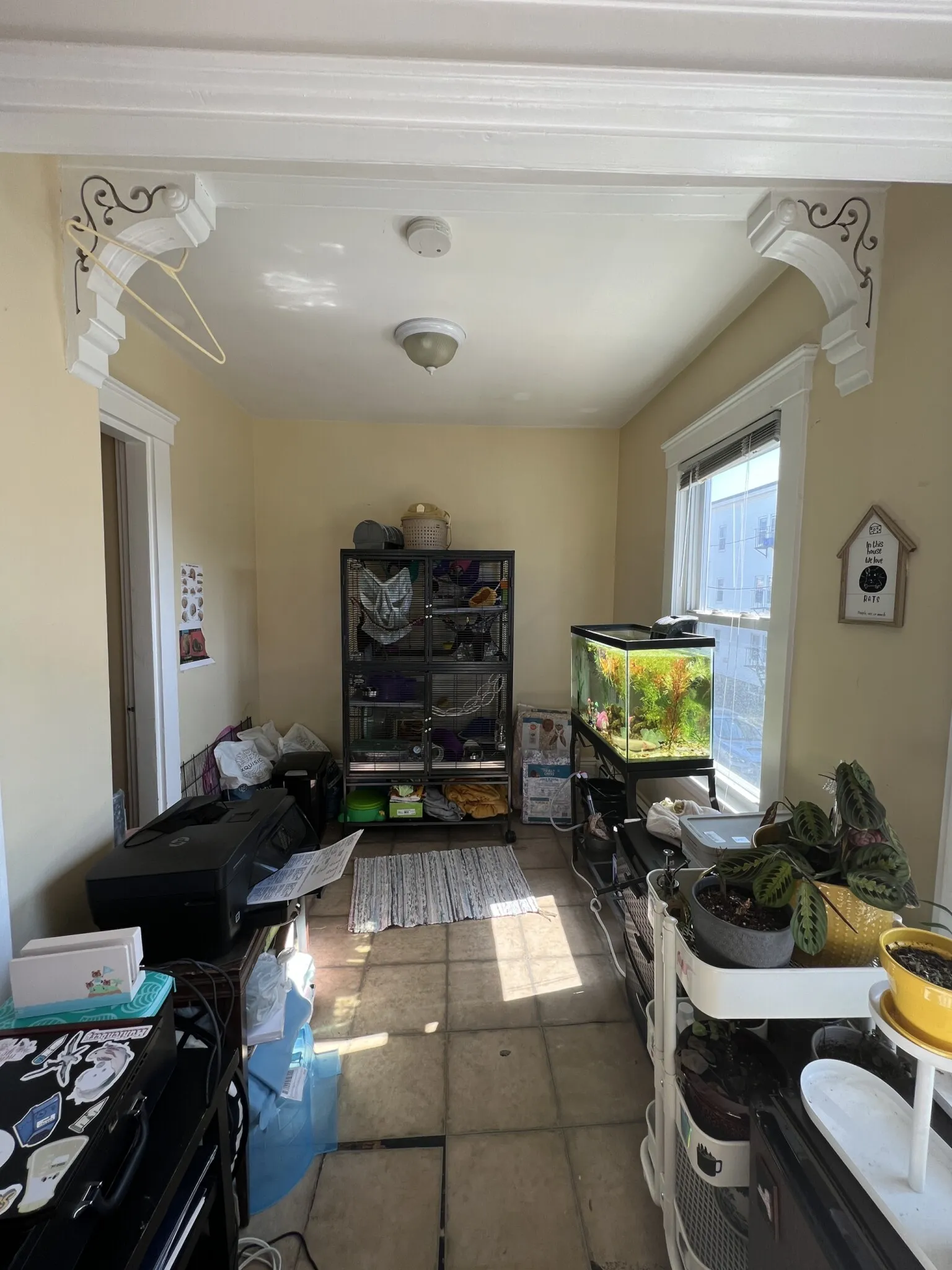 7 Craigie Ter, Spring Hill