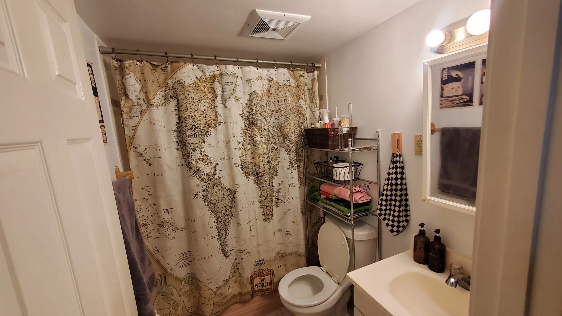 245 Kelton St, Brighton